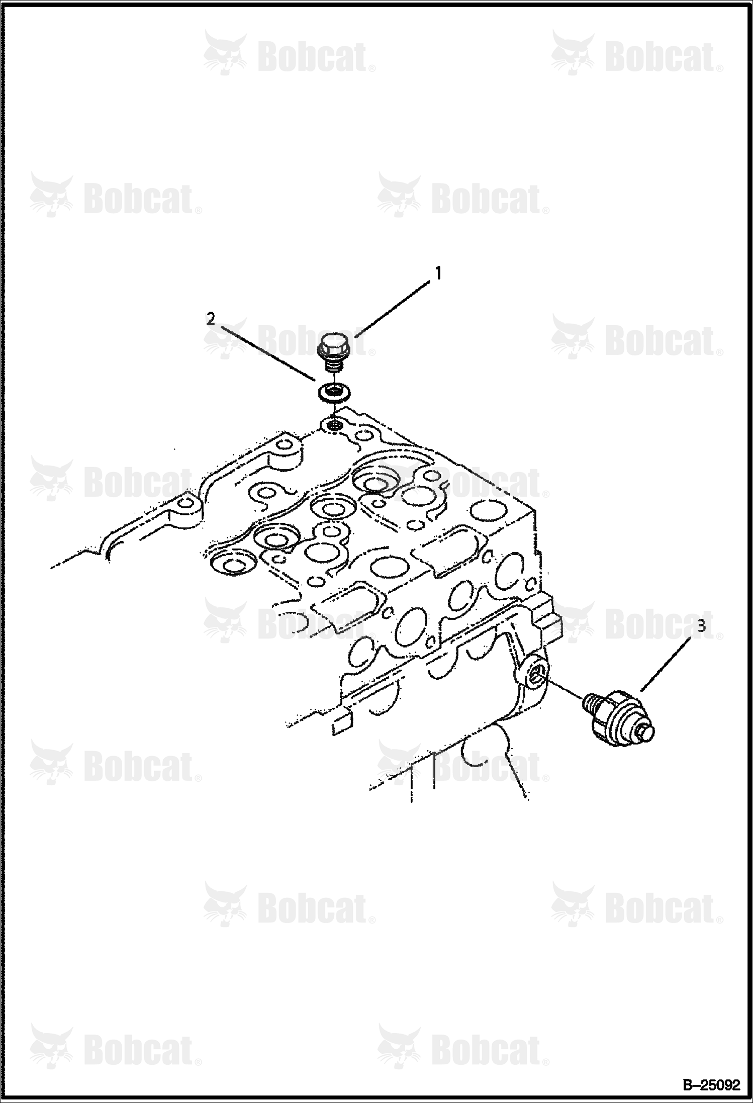 Oil Switch & Plug (Tier II) 573211001 & Above