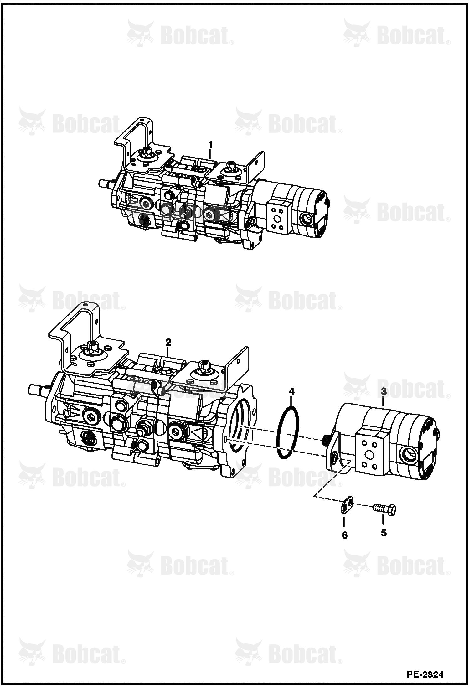 Hydrostatic PUMP/GEAR Pump (Identification)