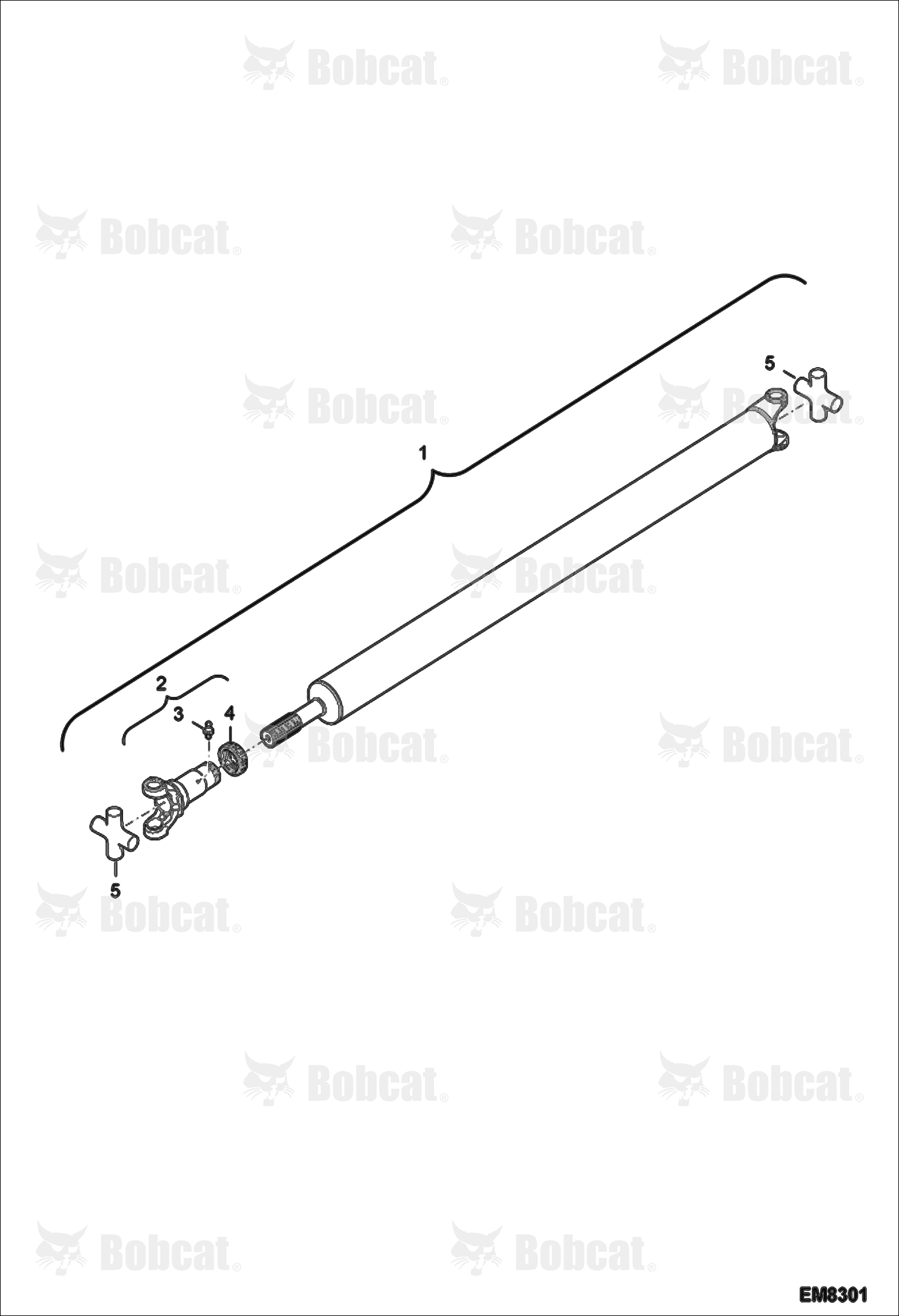 Drive Shaft