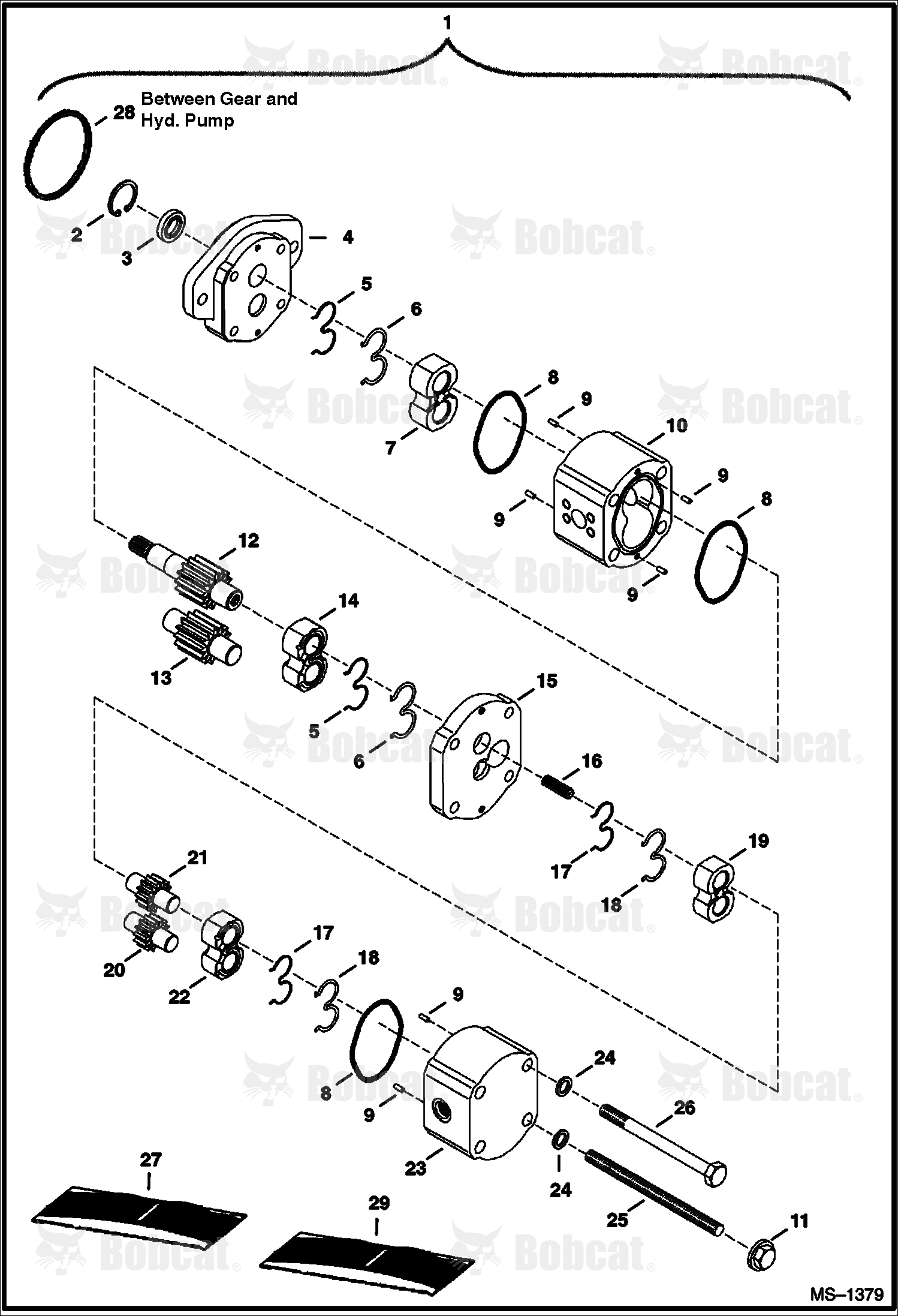 Dual Gear Pump