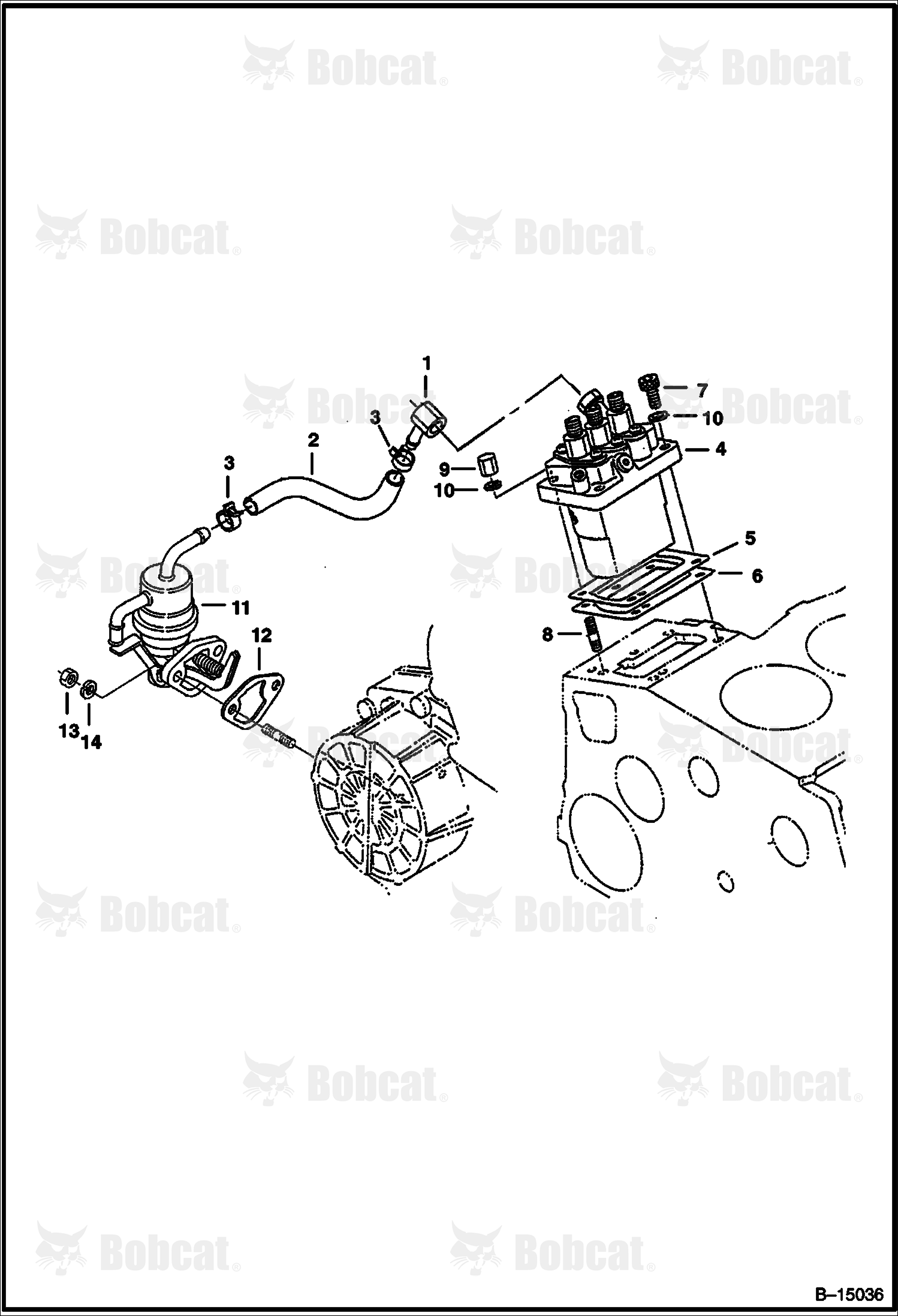 Injection Pump & Fuel Pump