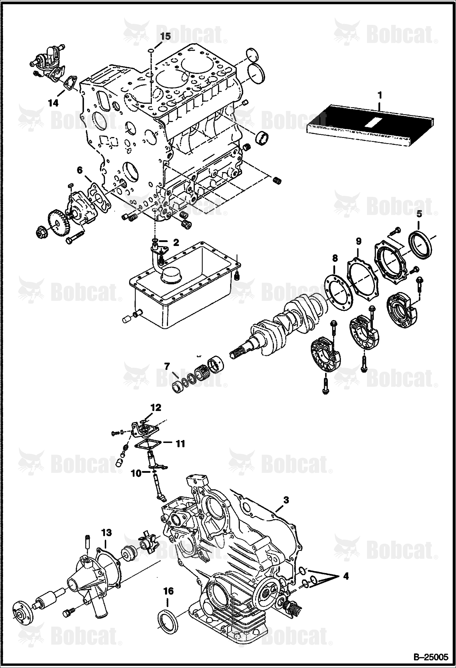 Lower Gasket Kit