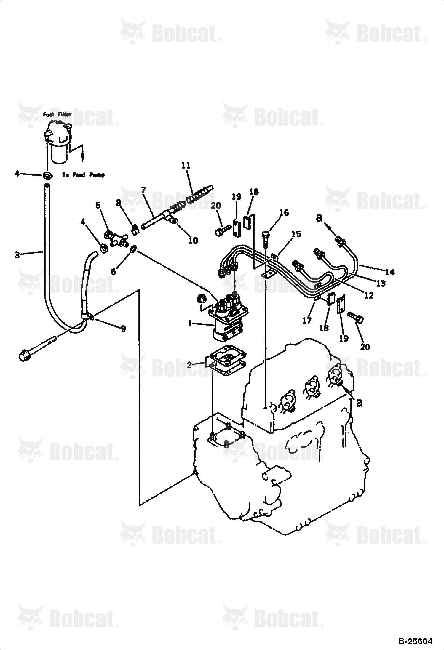 Fuel Injection Pump and Piping