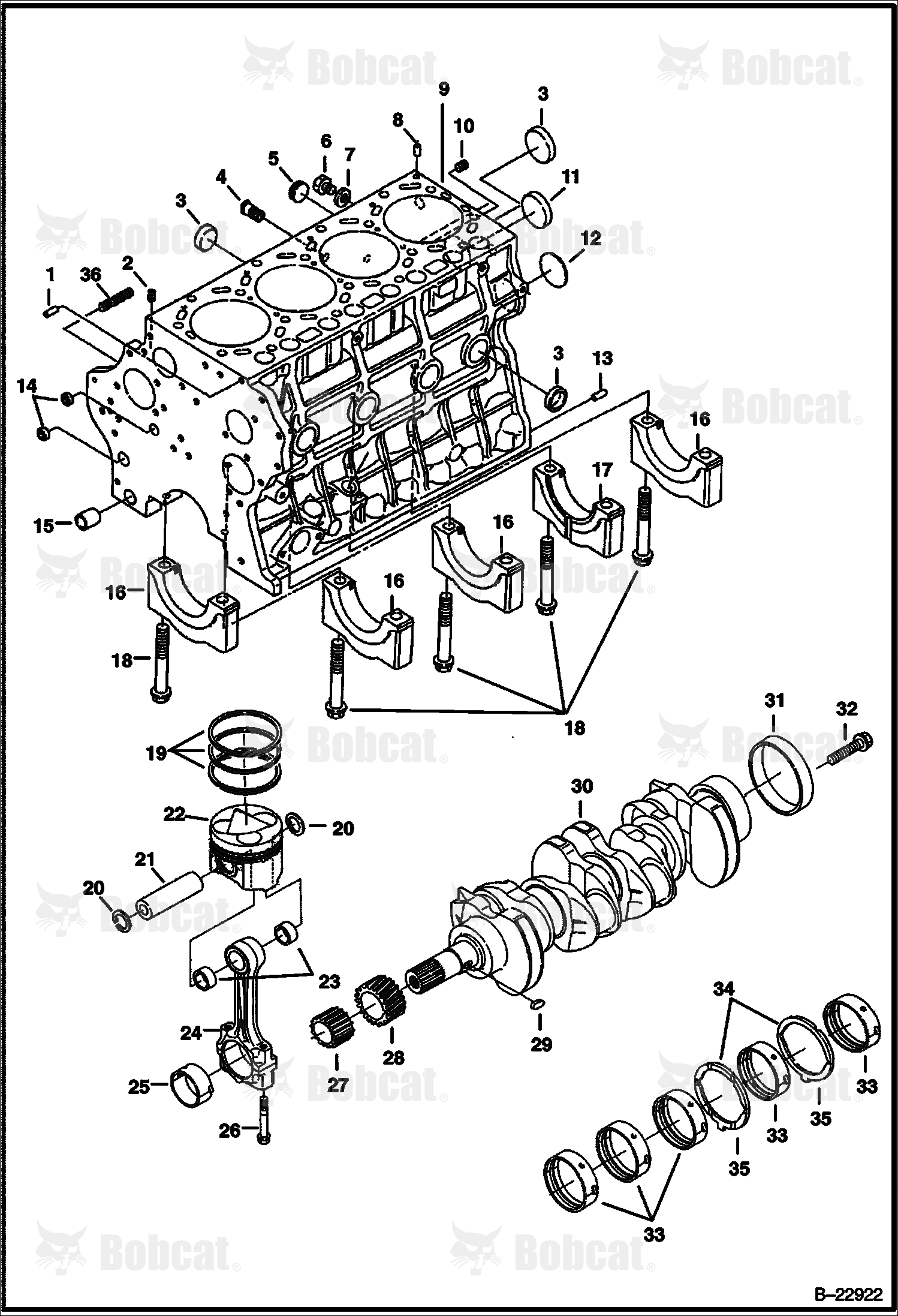 Piston & Crankshaft (V3300 DI T Kubota) (Tier II) 525811001 & Above, 525911001 & Above, 526011001 & Above, 526111001 & Above