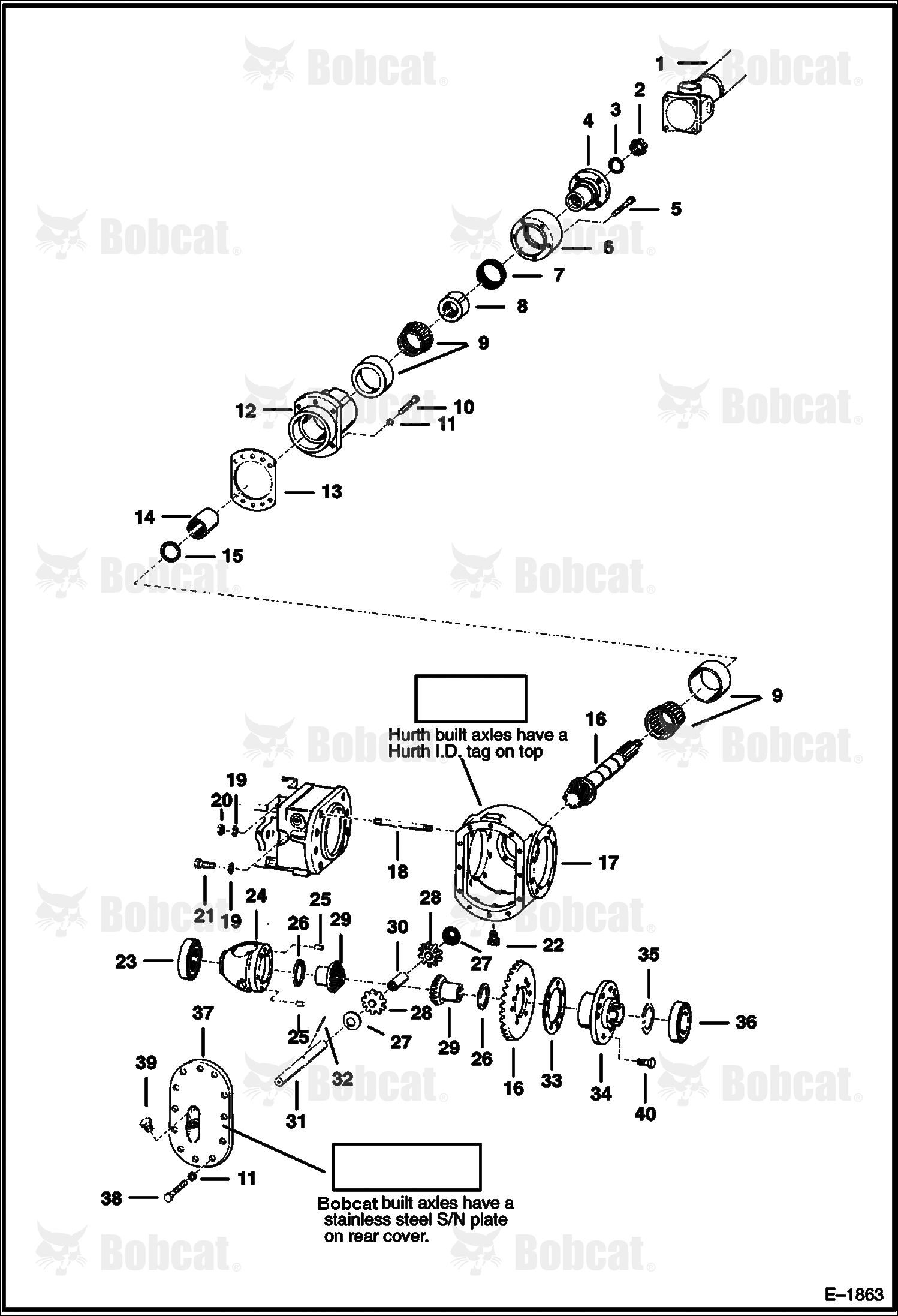 Rear Differential