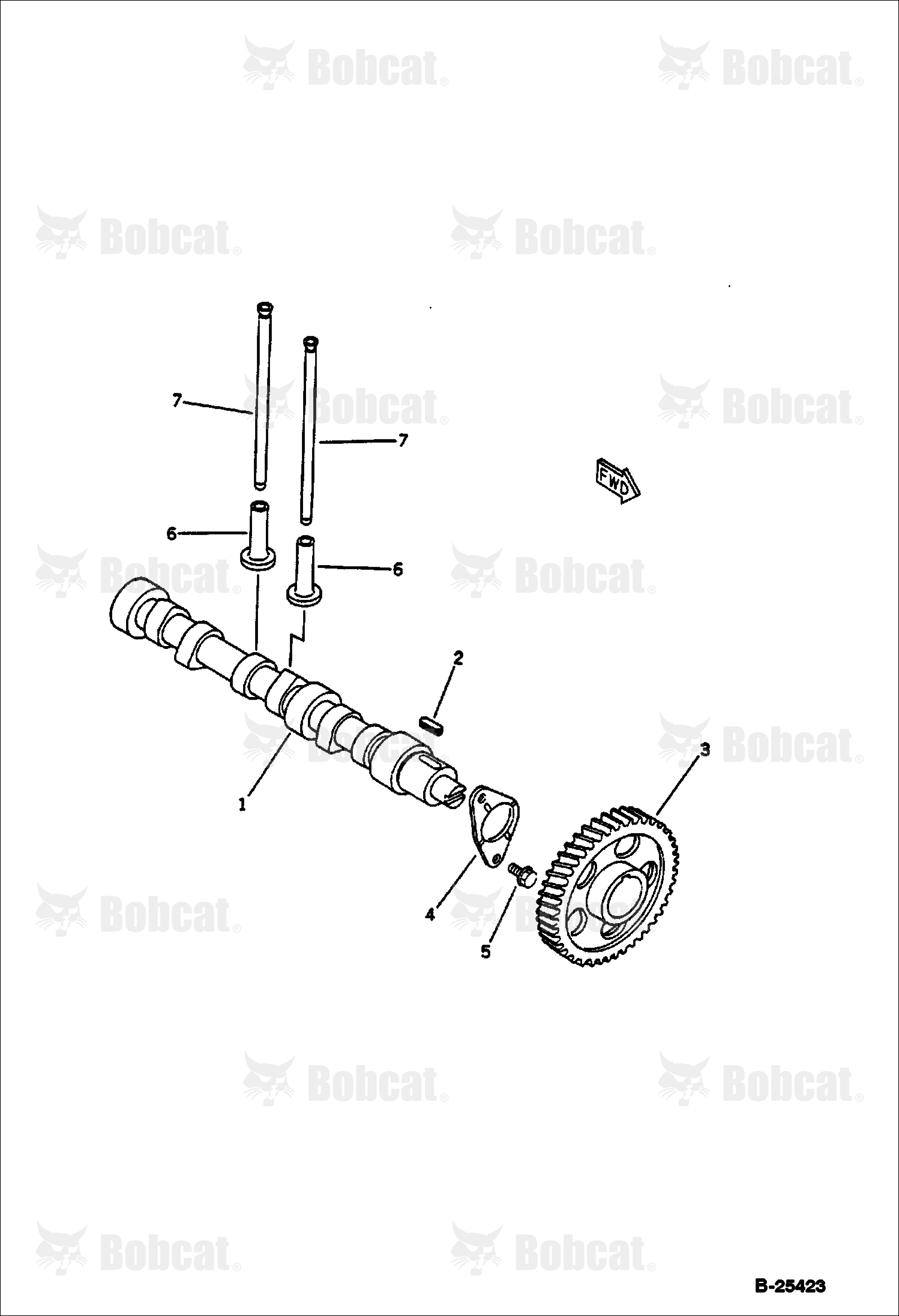 Camshaft and Tappet