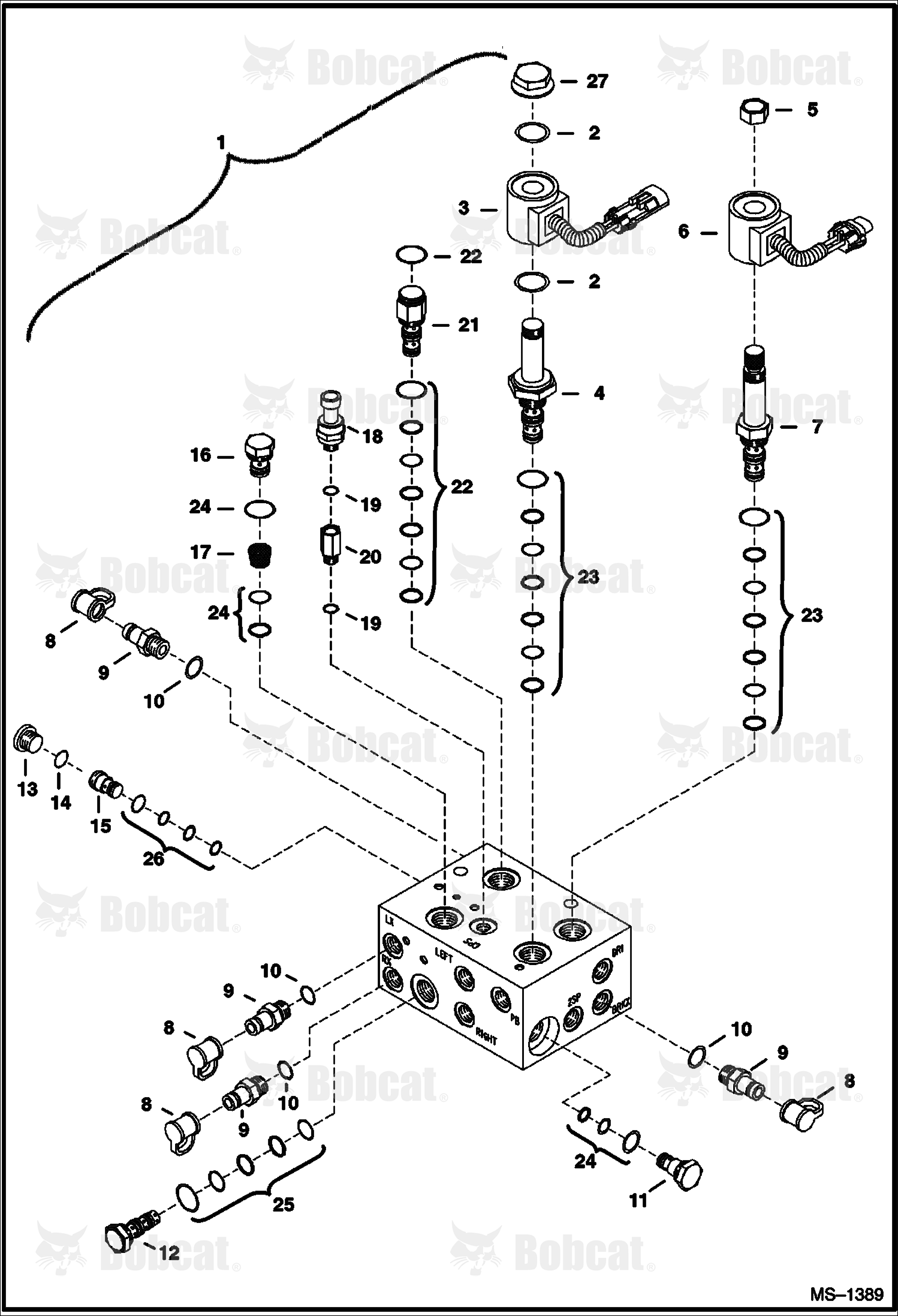 Valve Assembly 562216354 & Below, 516516056 & Below