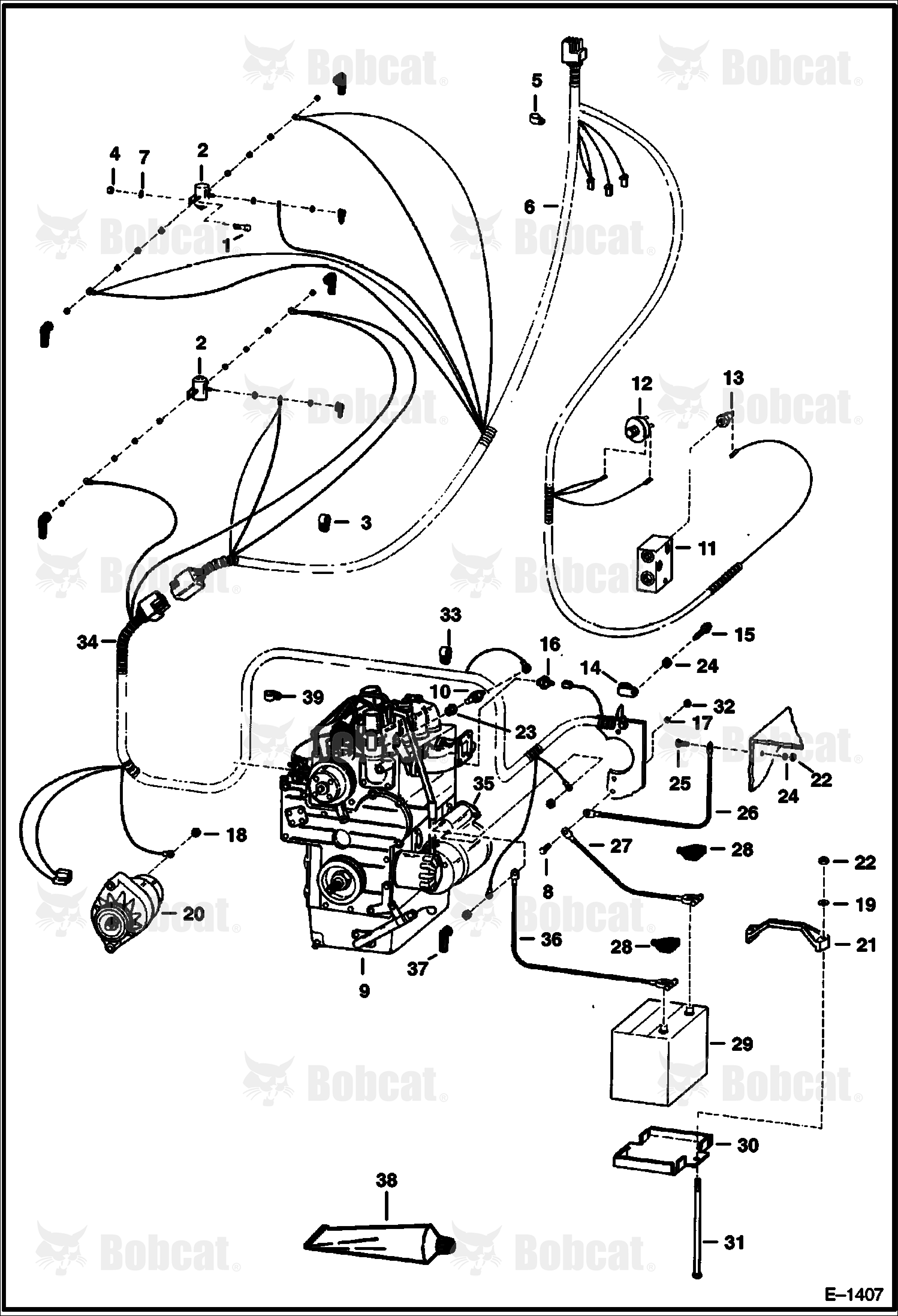 Engine Electrical System  502412001 - 502425462