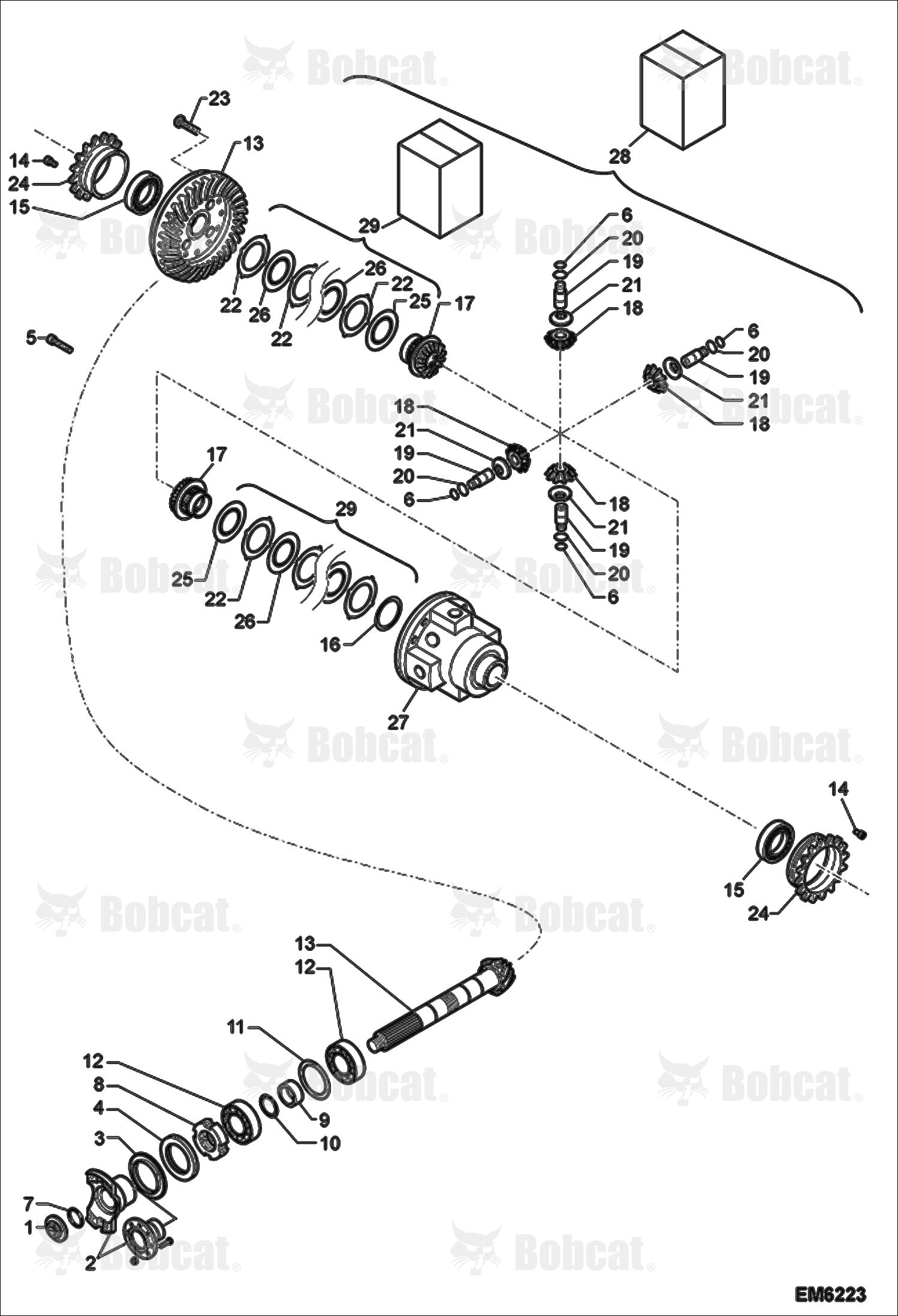Rear Axle Differential
