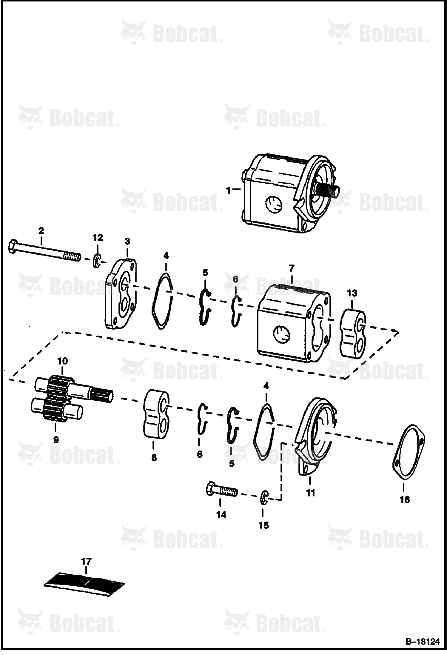 Gear Pump 518911001 - 518916260, 516811001 - 516815100