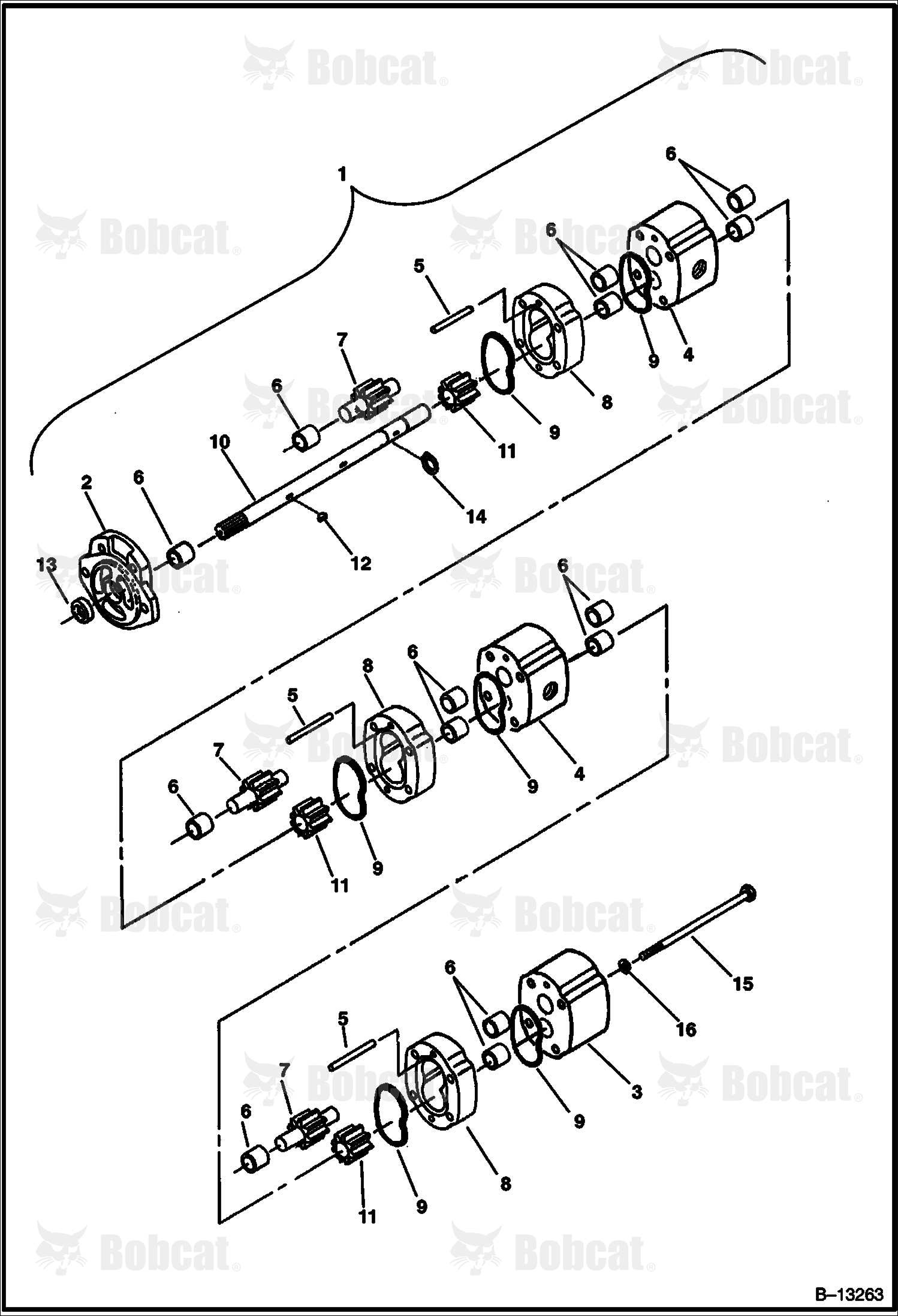 Gear Pump (Webster)