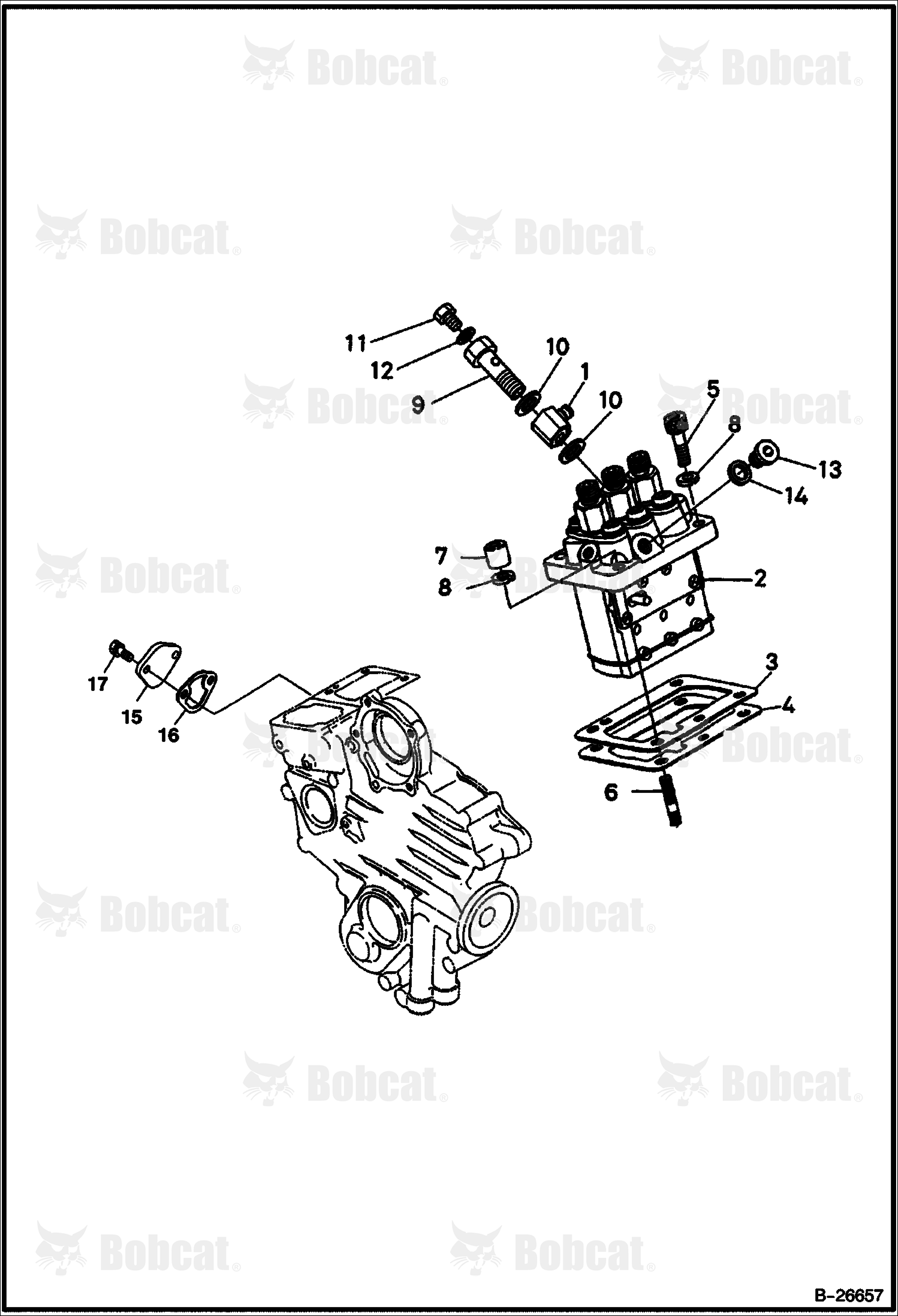 Fuel & Injection Pump (Kubota D722)