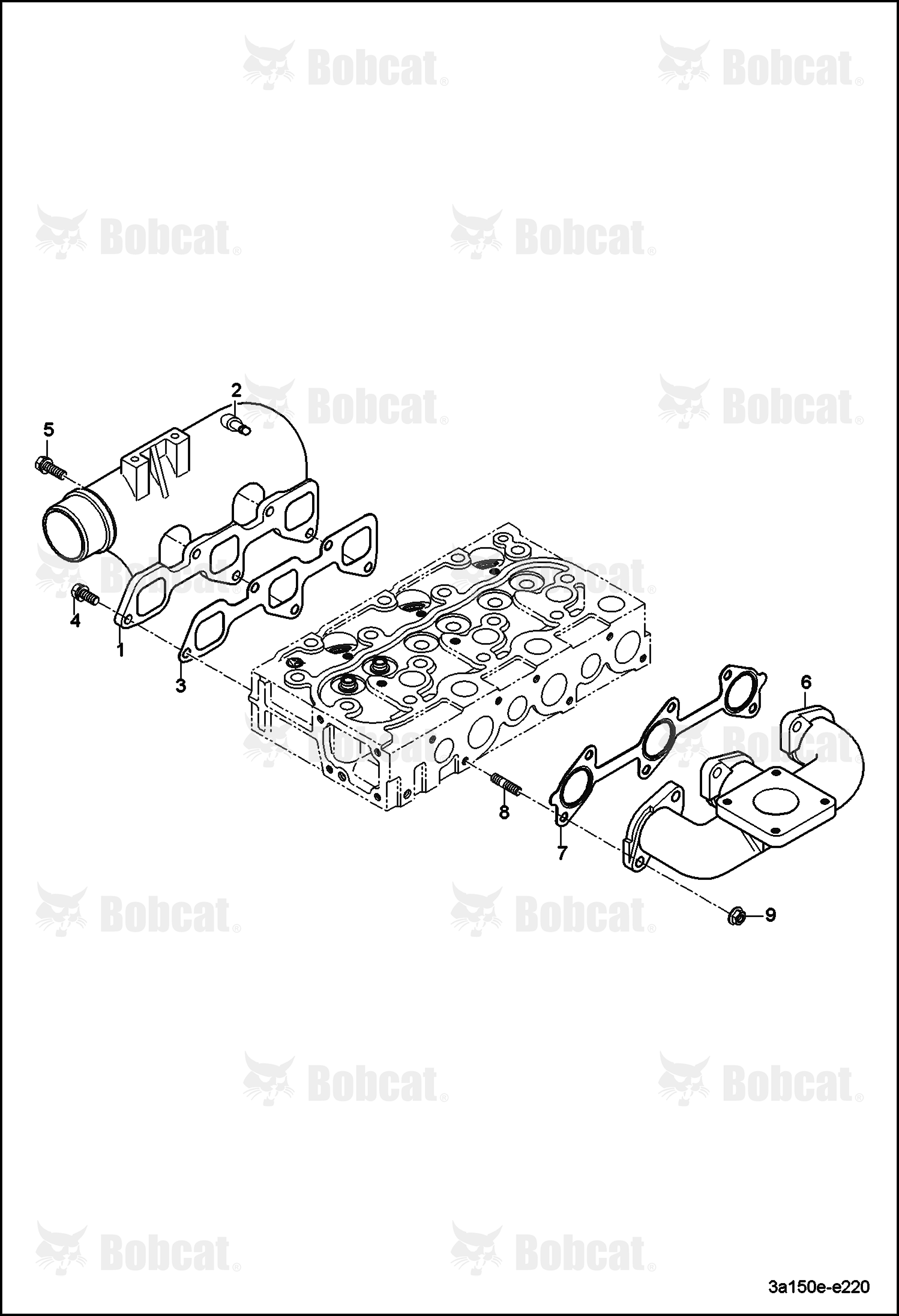 Manifold Group