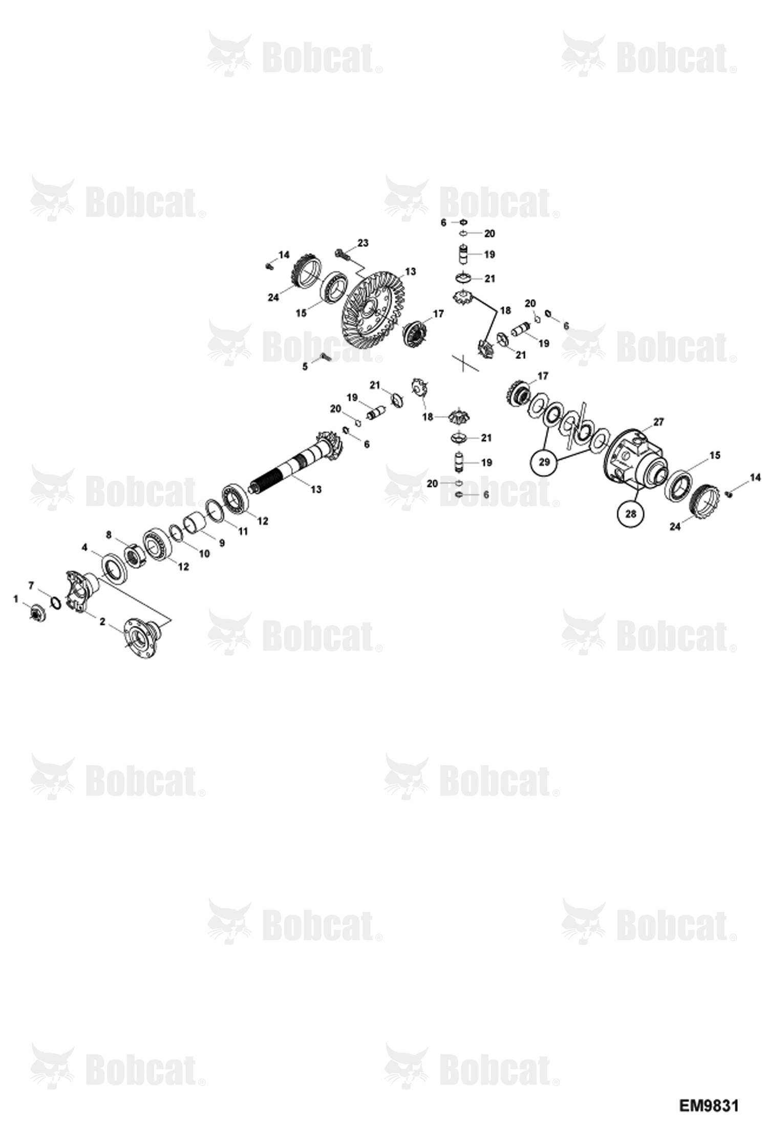 Rear Axle Differential Assembly (Limited Slip Differential)