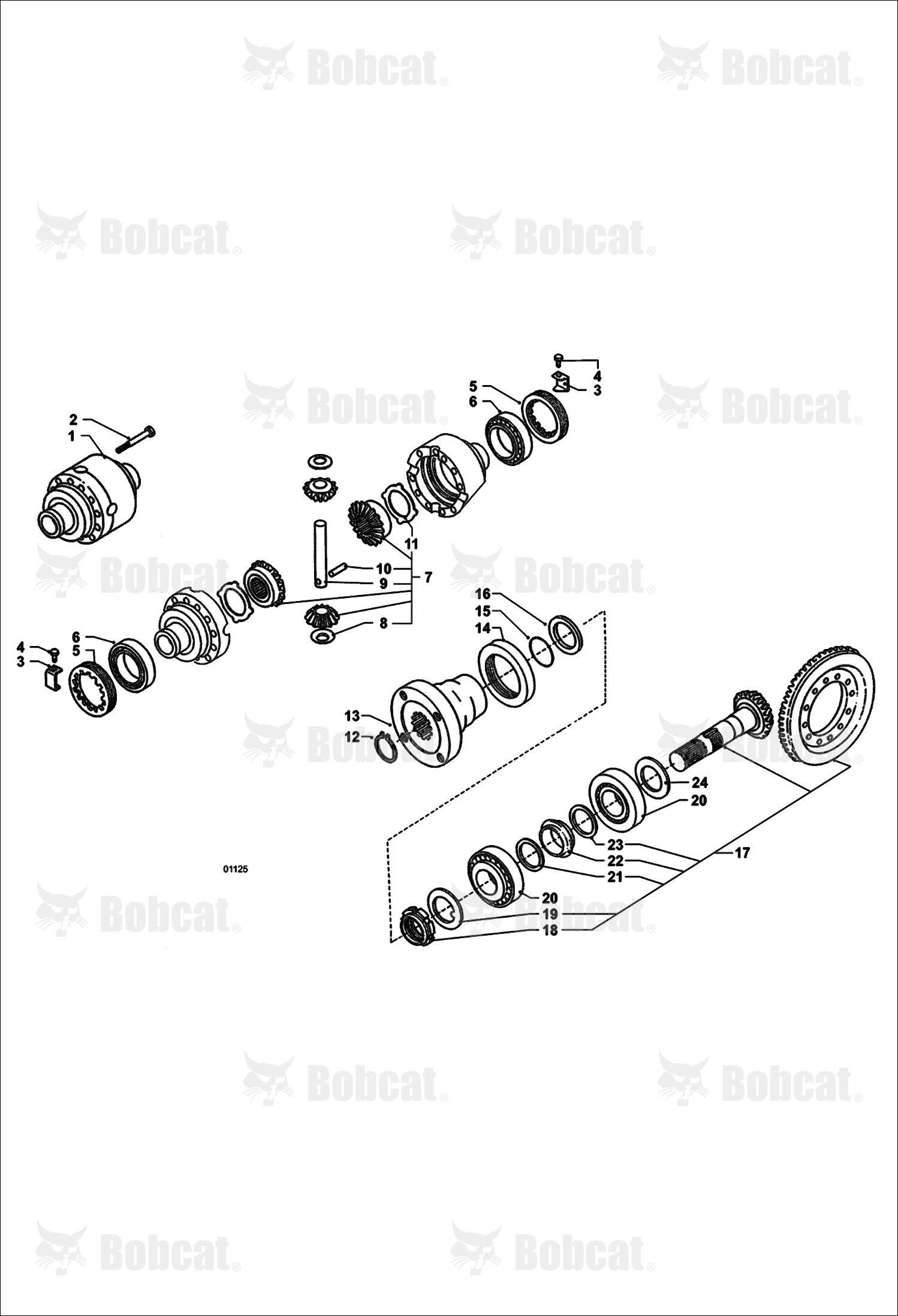 Rear Axle - Differential