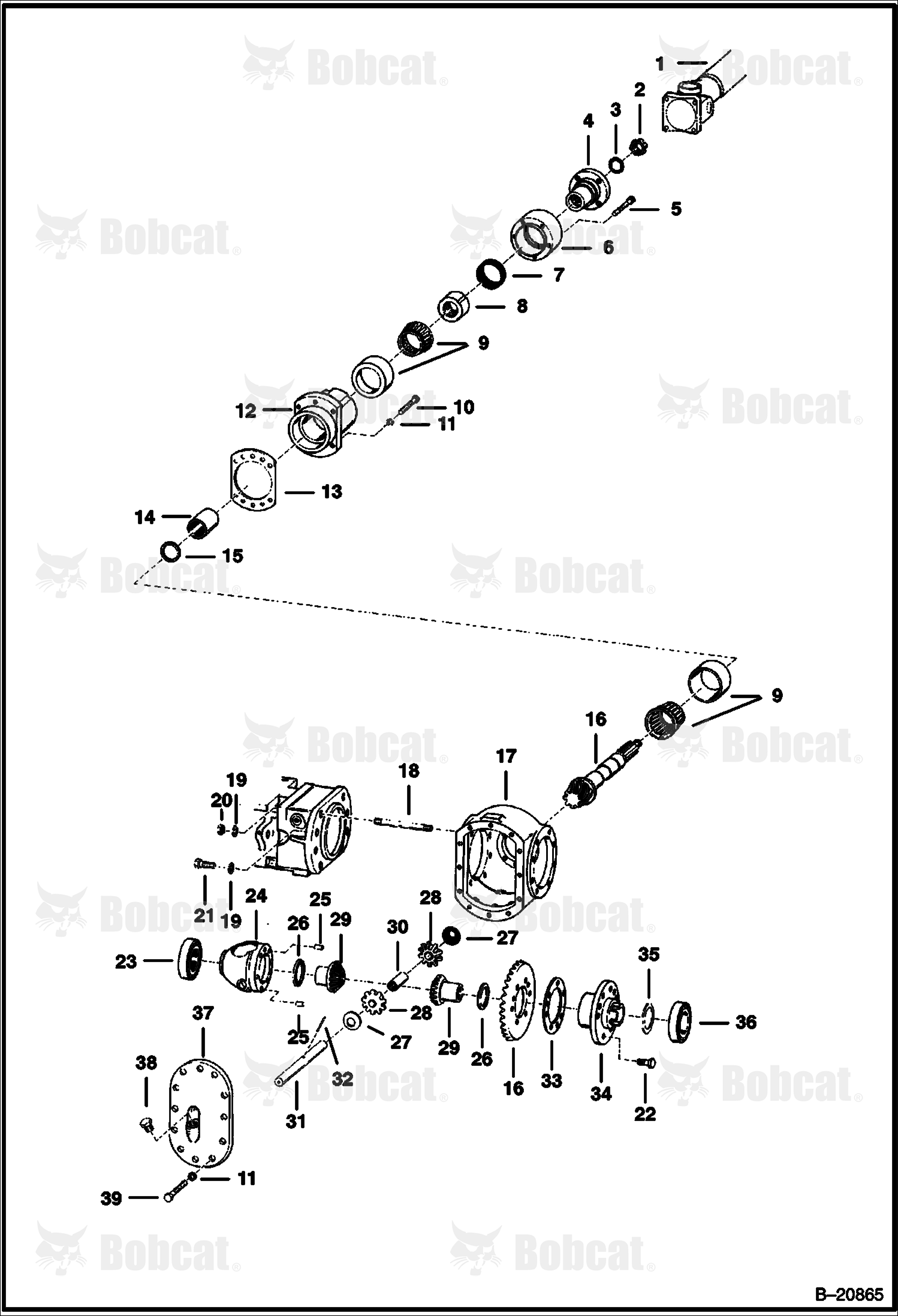 Rear Differential