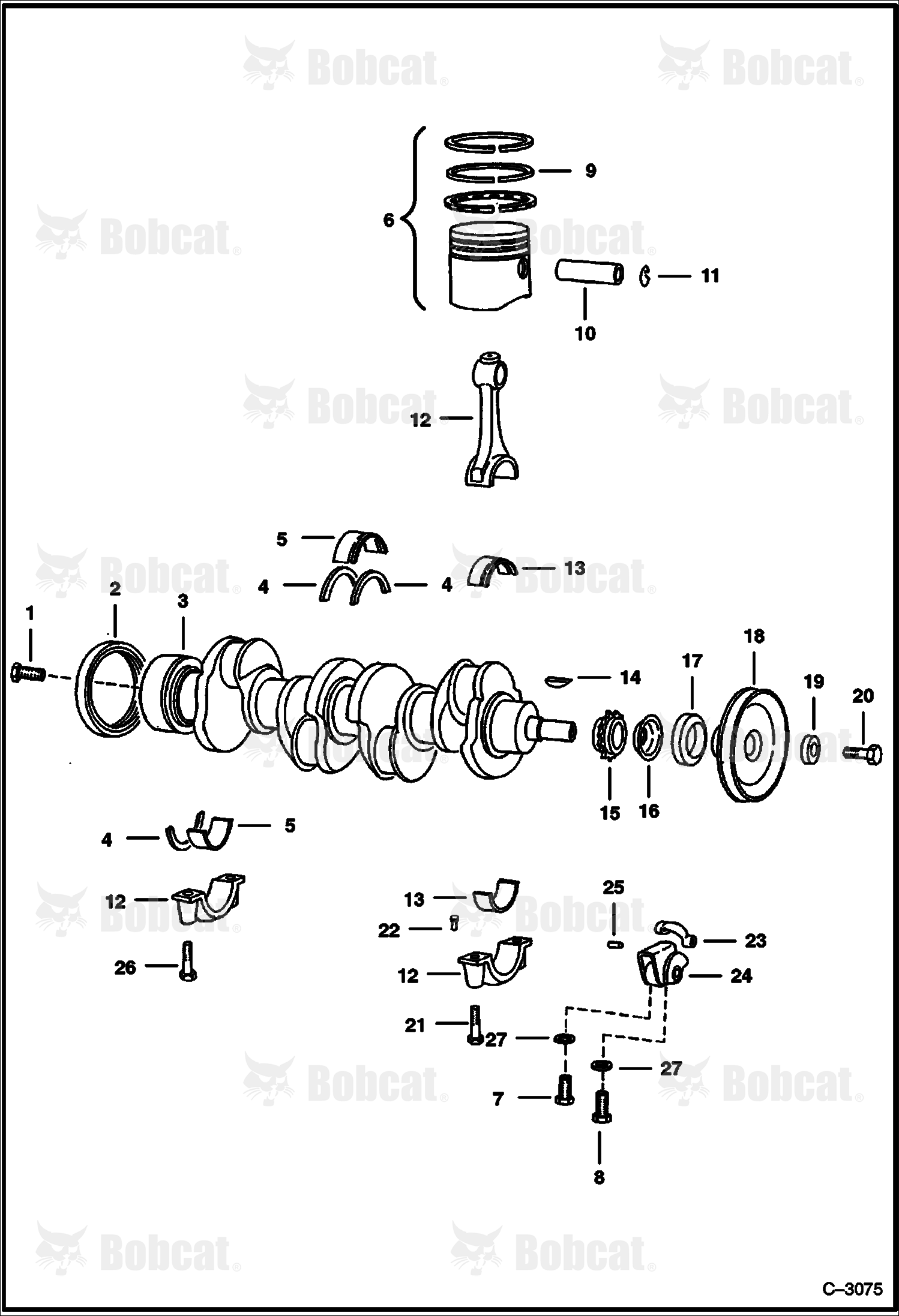 Crankshaft & Pistons  506911251 - 506911999