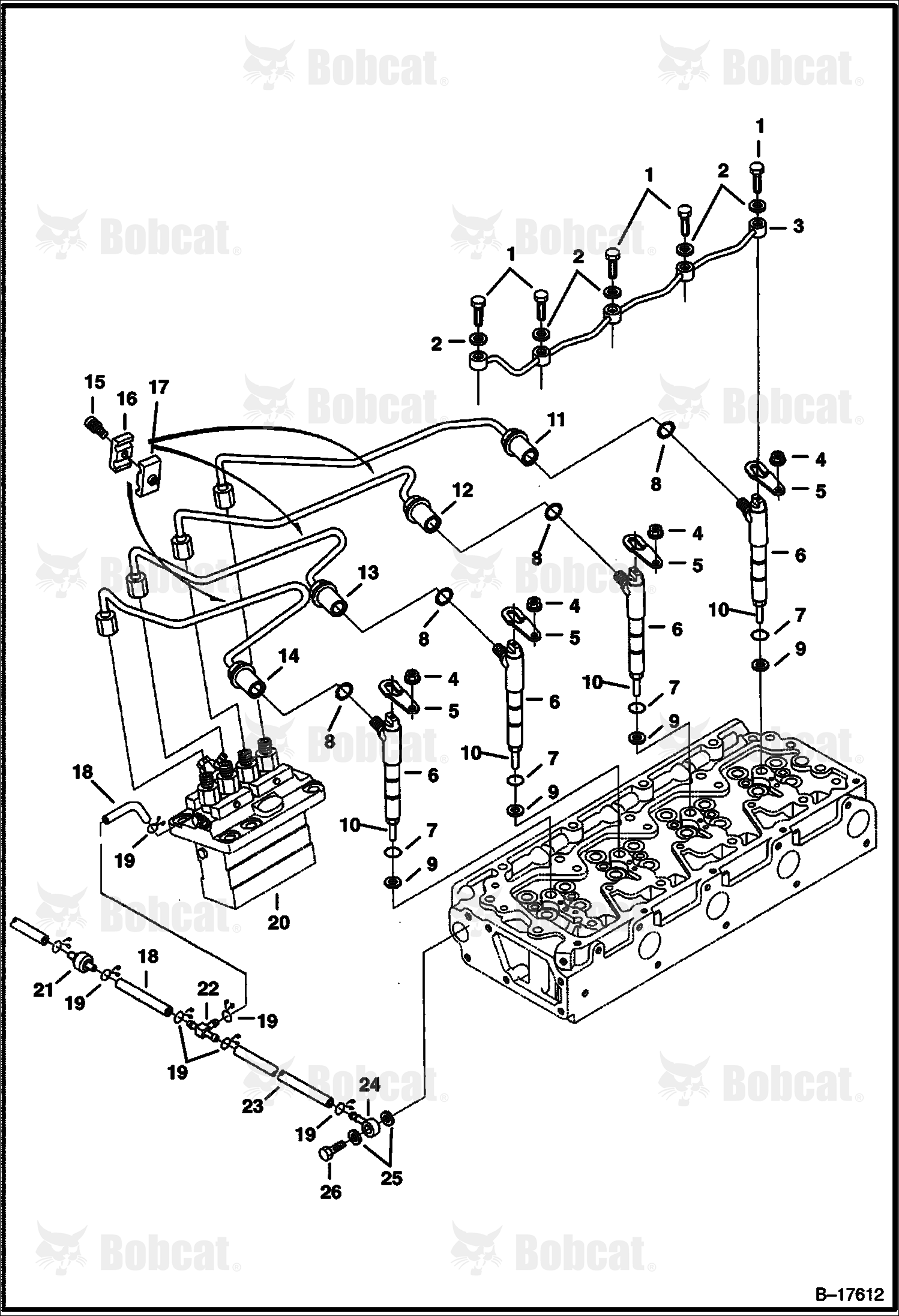 Fuel Injection System (V3300 DI T Kubota) (Tier I)  523411001 & Above, 523511001 & Above