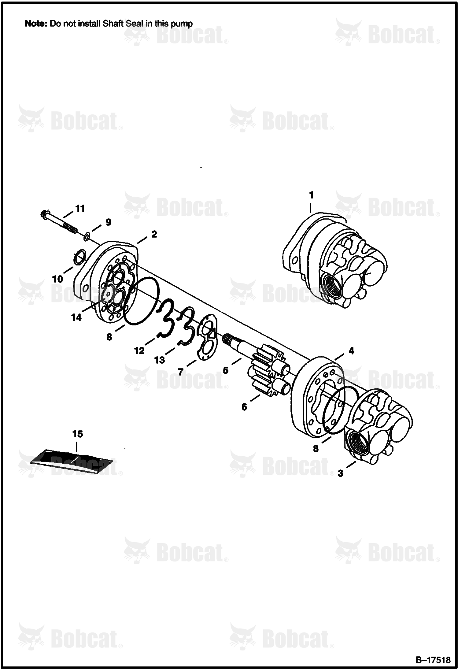 Gear Pump