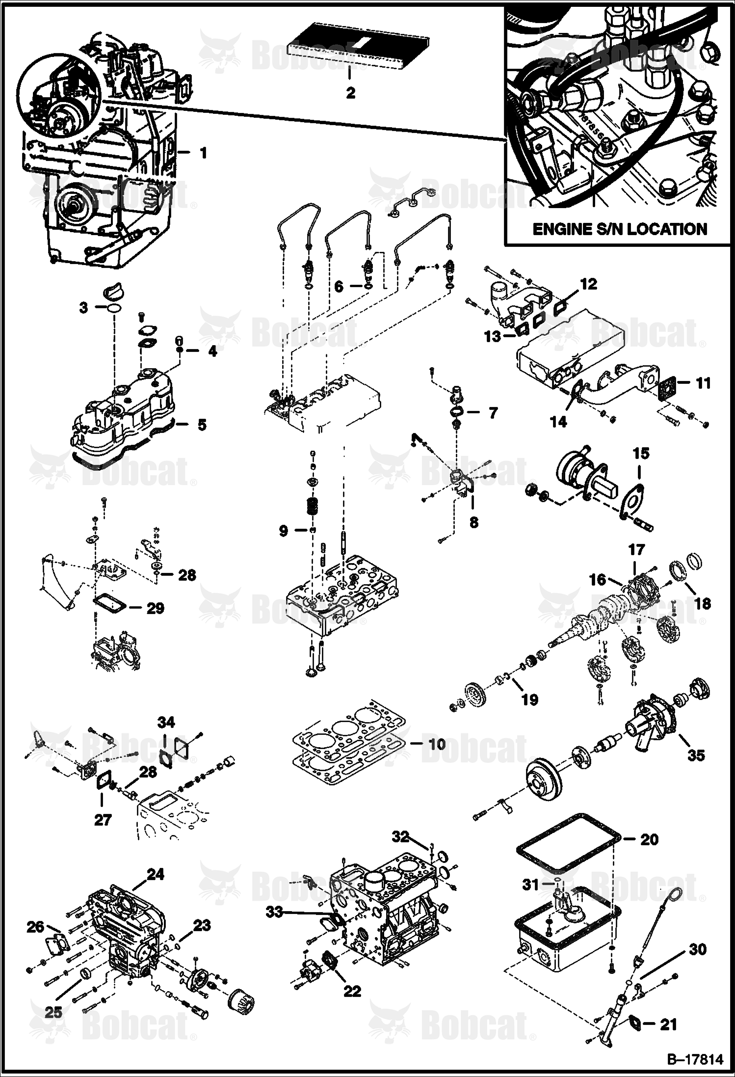Engine & Gasket Kits (Kubota D950-B)