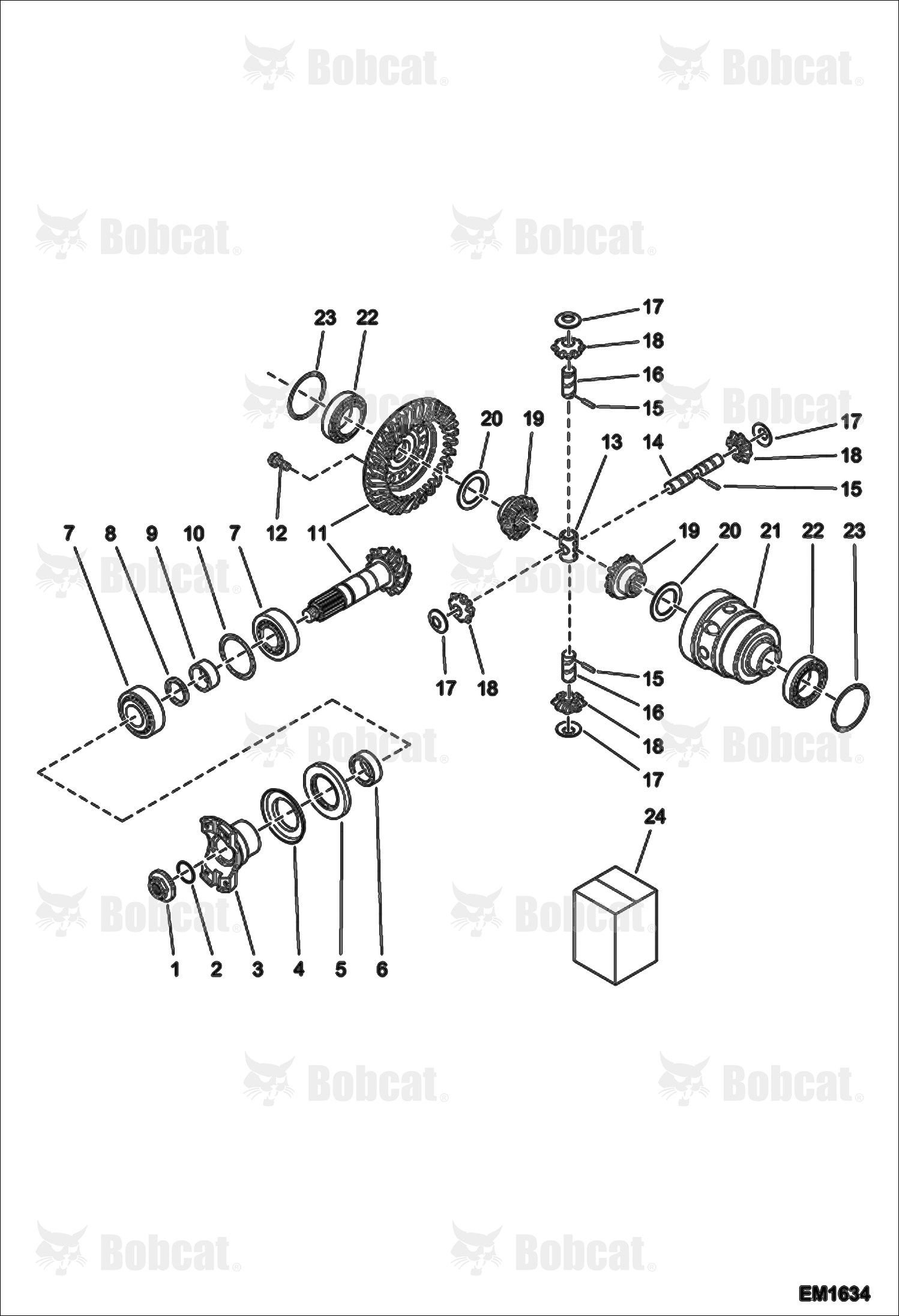 Differential - Rear Axle