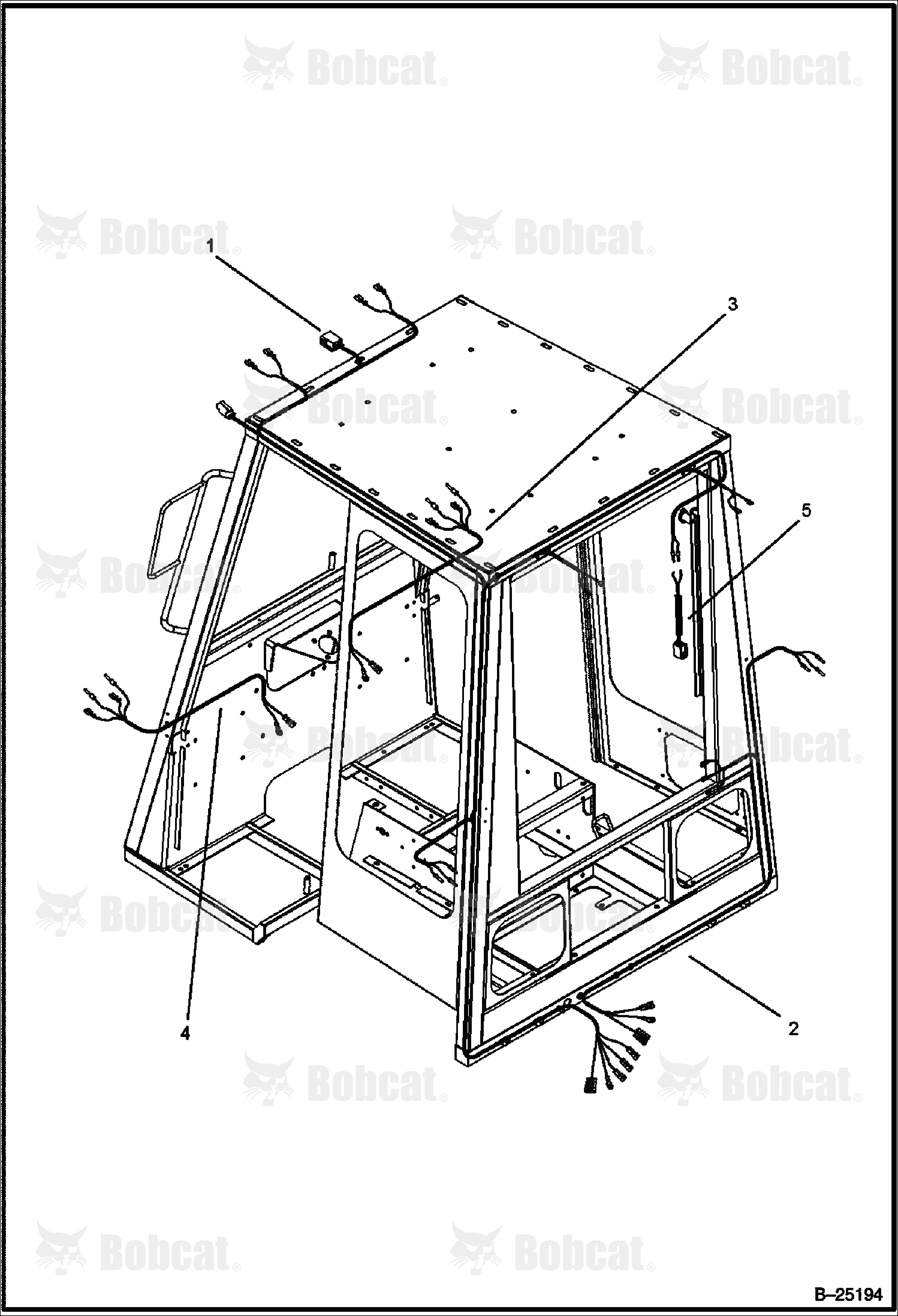 CAB (Harness)
