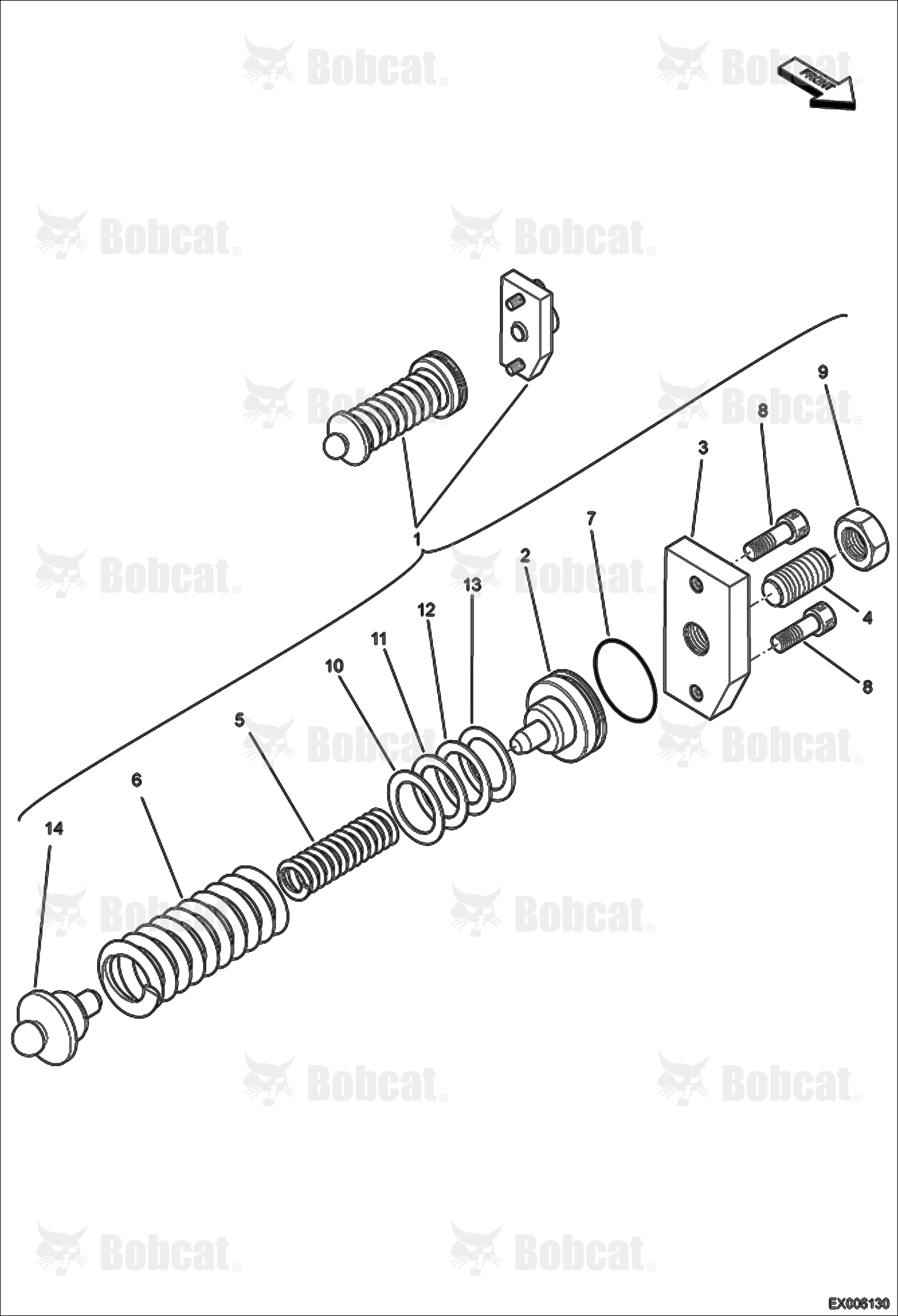 Hydrostatic Pump (Spring Assy)