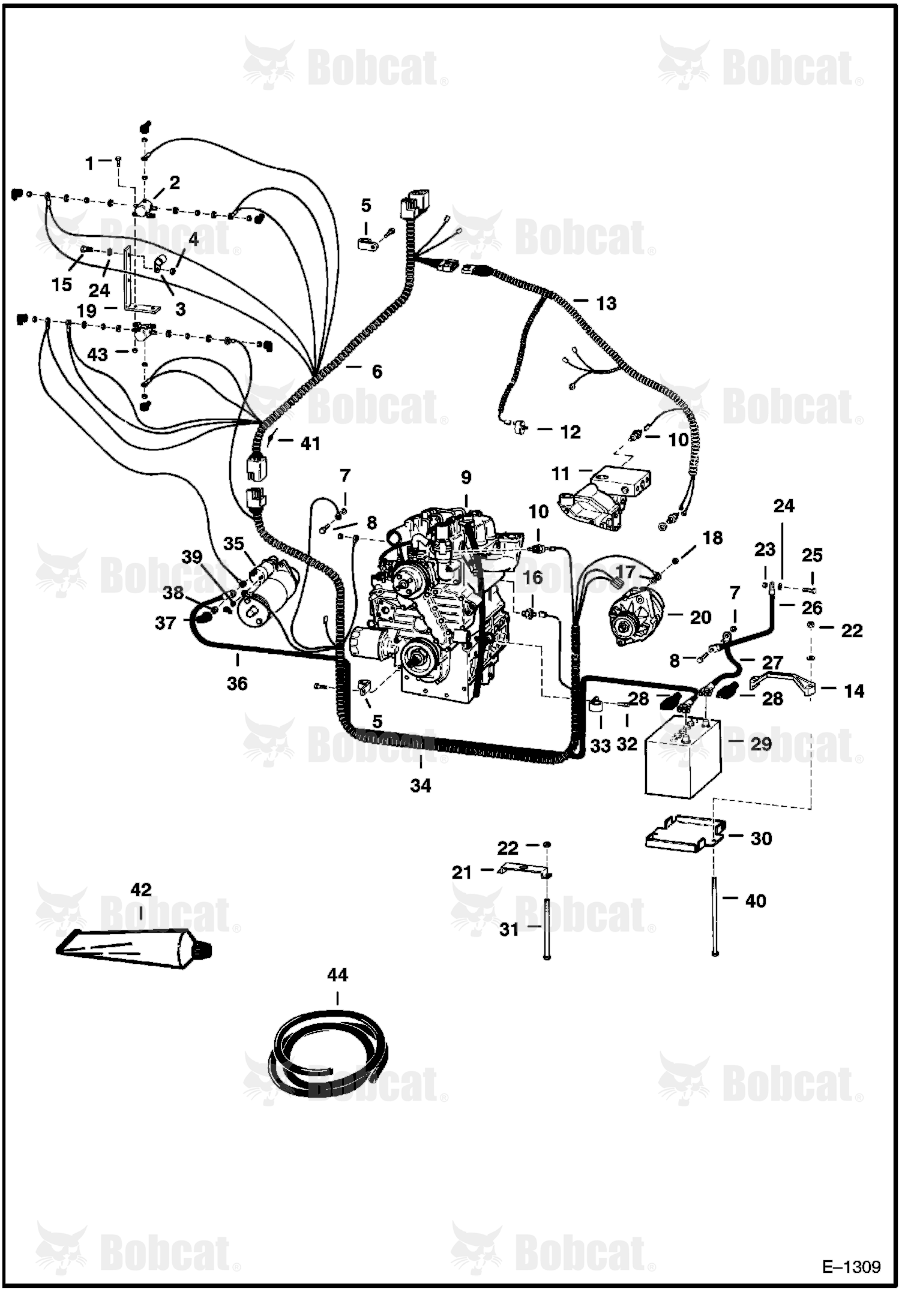 Engine Electrical Circuitry  501911001 - 501914084
