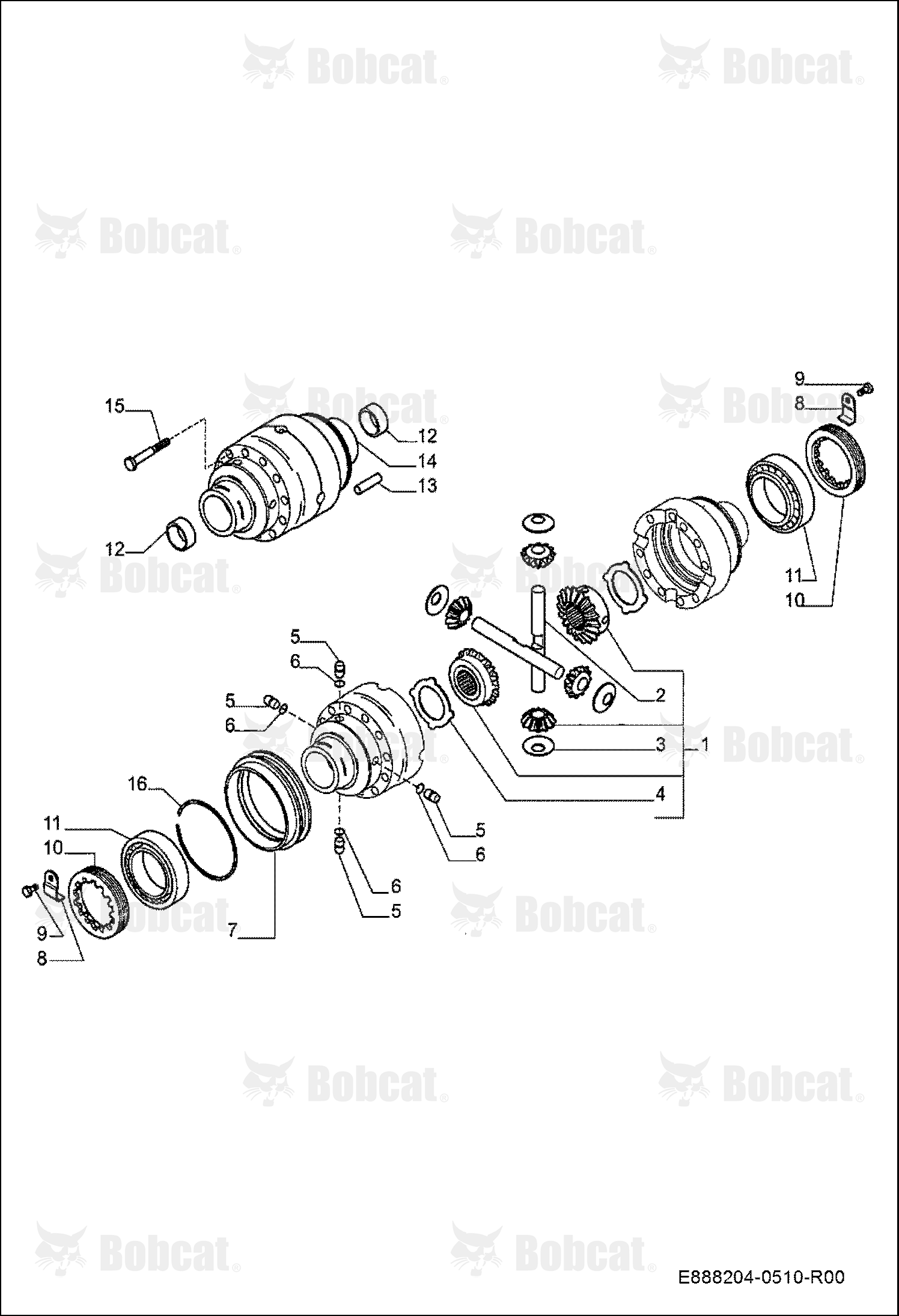 Rear Axle - Differential