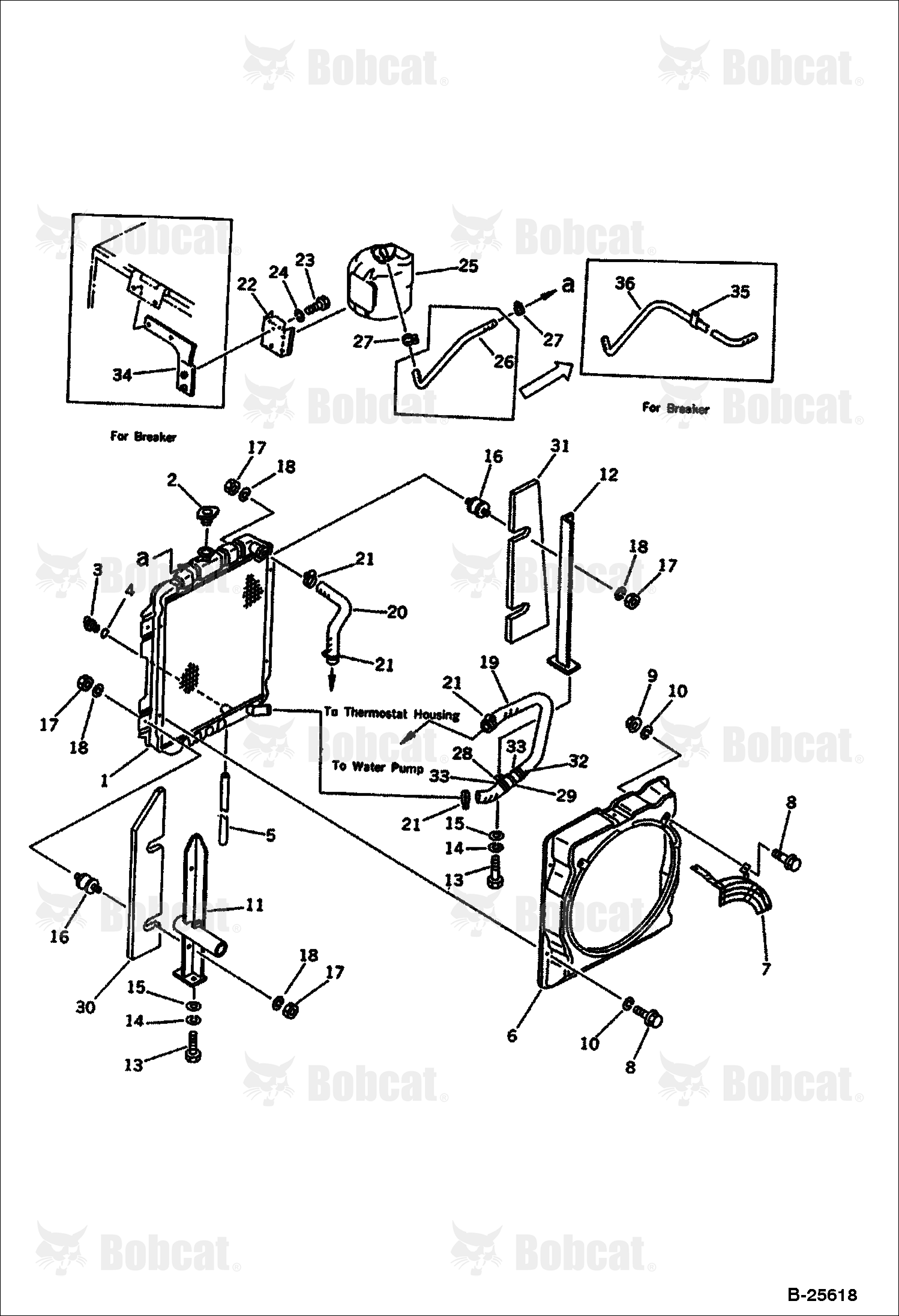 Radiator and Piping