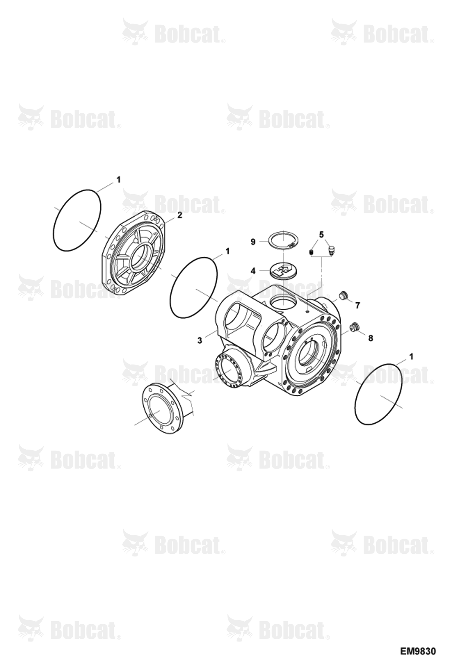 Rear Axle Differential (Limited Slip Differential)