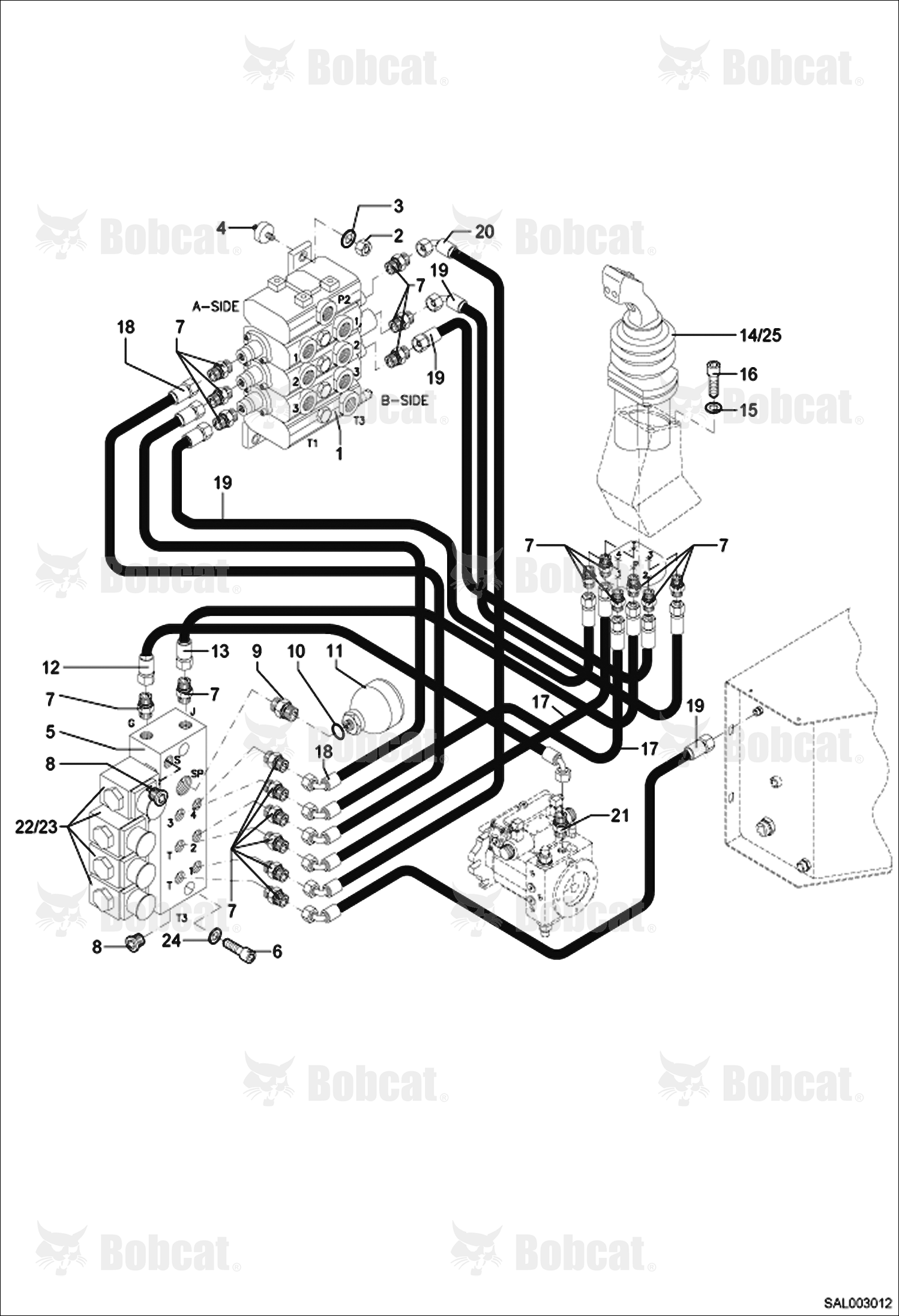 Pilot Controls (With Control Valve 5520661873)