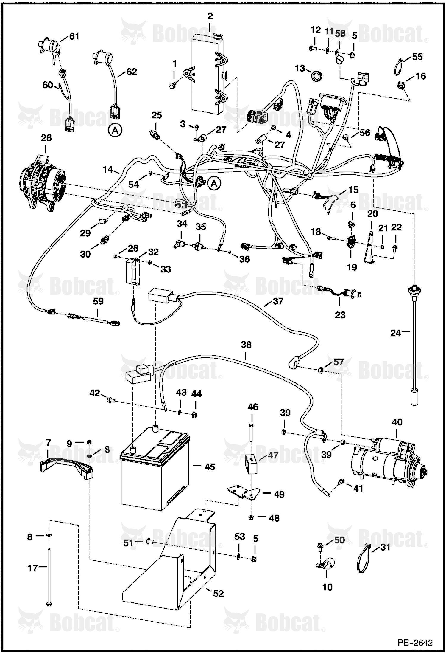 Engine Electrical Circuitry