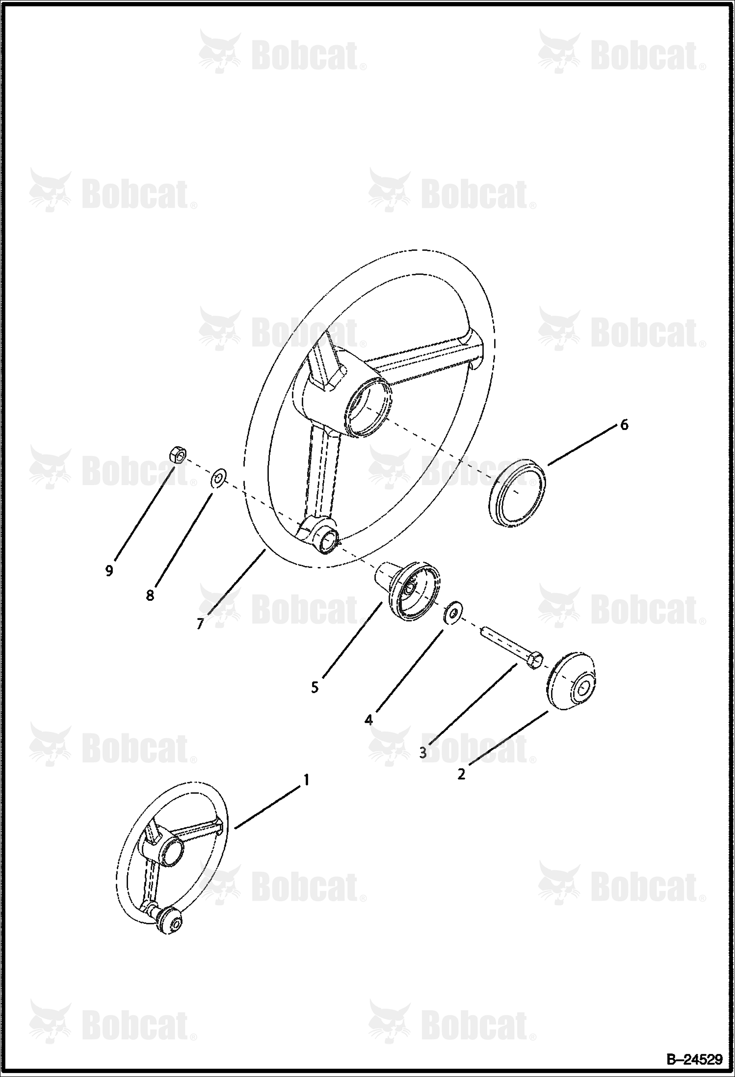 Controls (Steering Wheel)