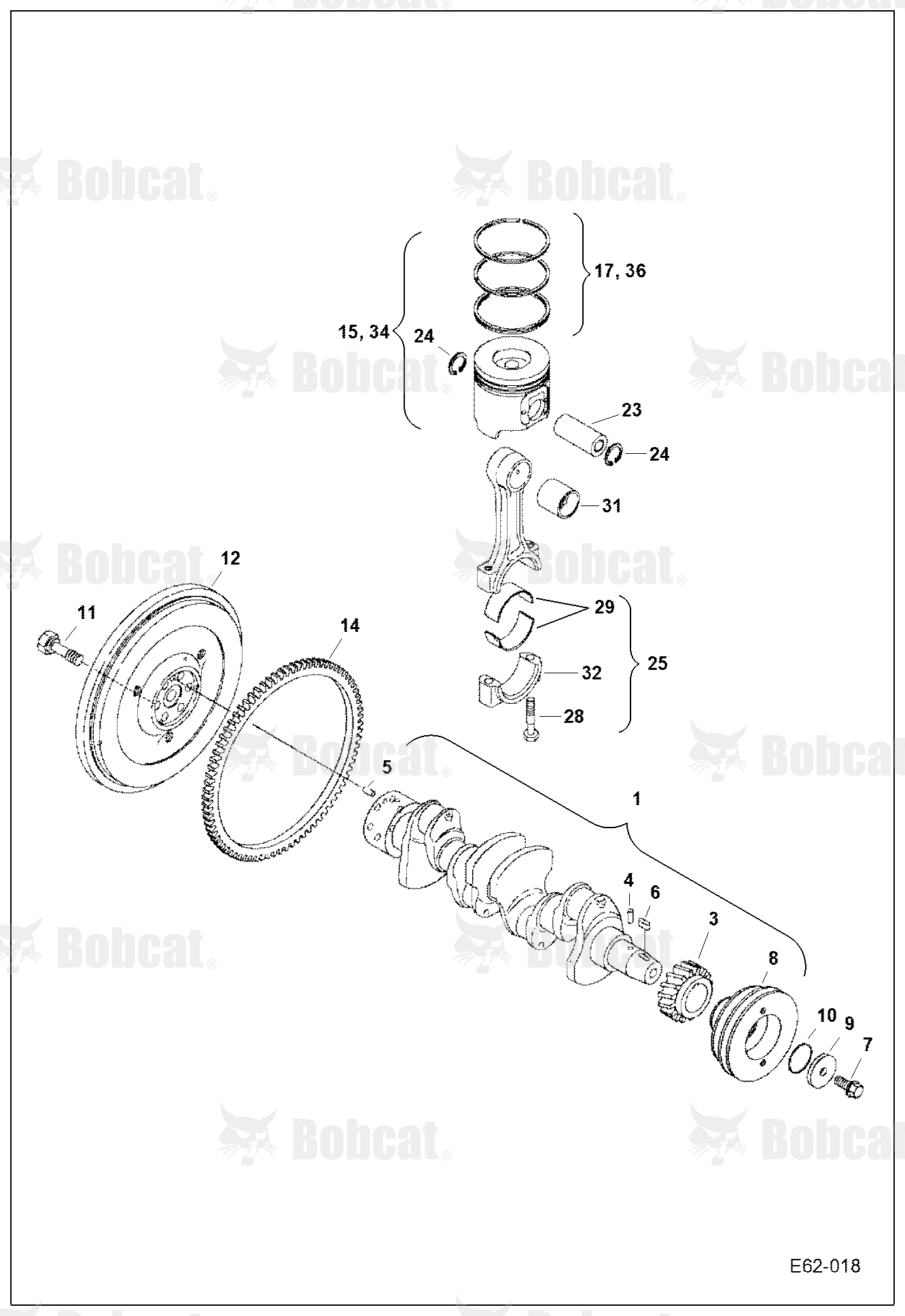 Crankshaft & Piston