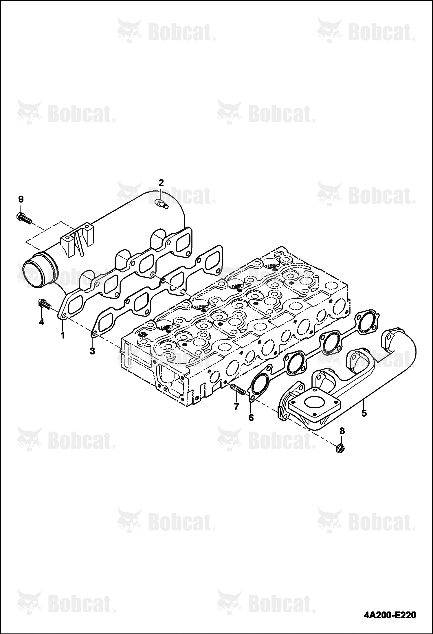 Manifold Group