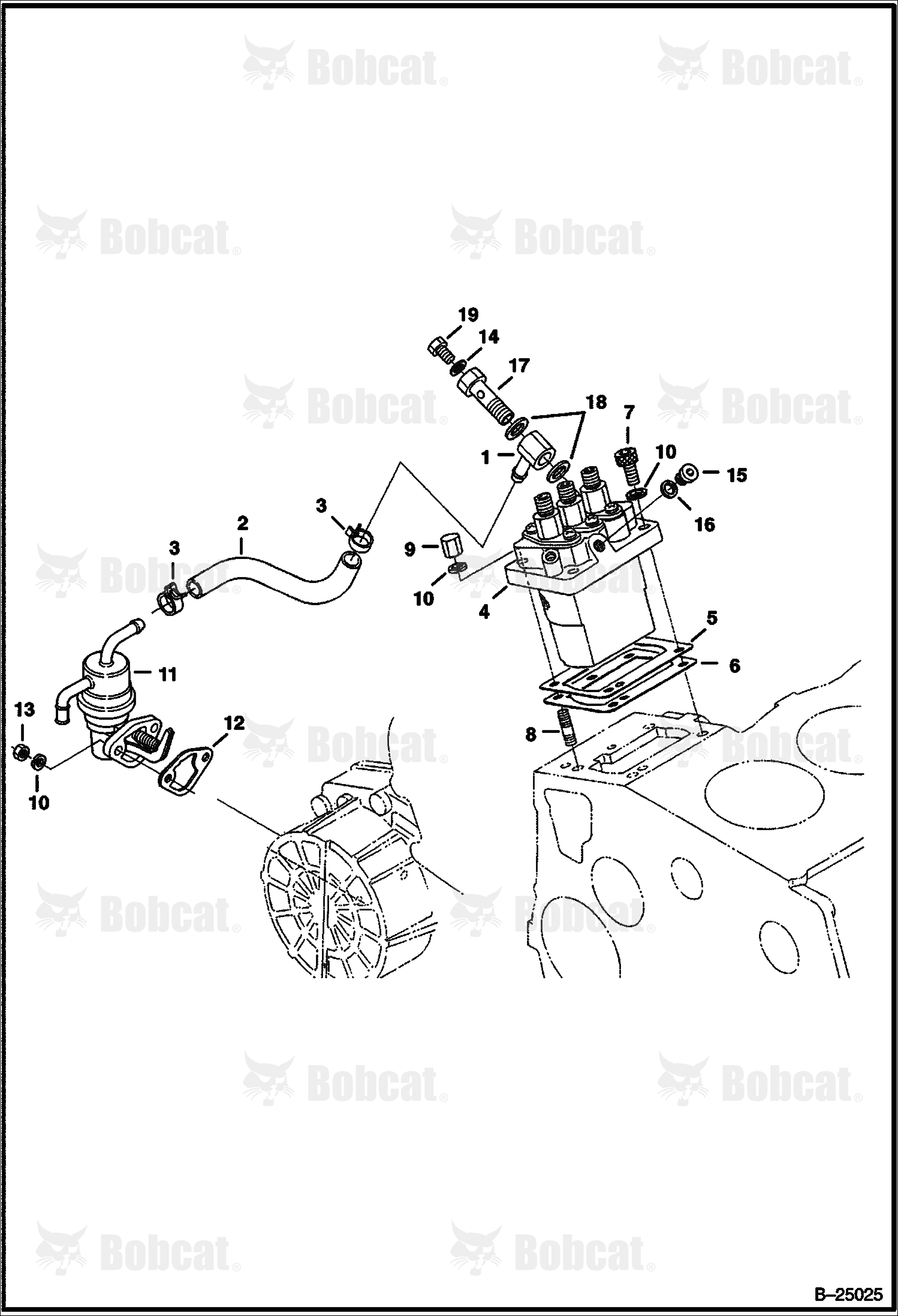 Injection Pump & Fuel Pump