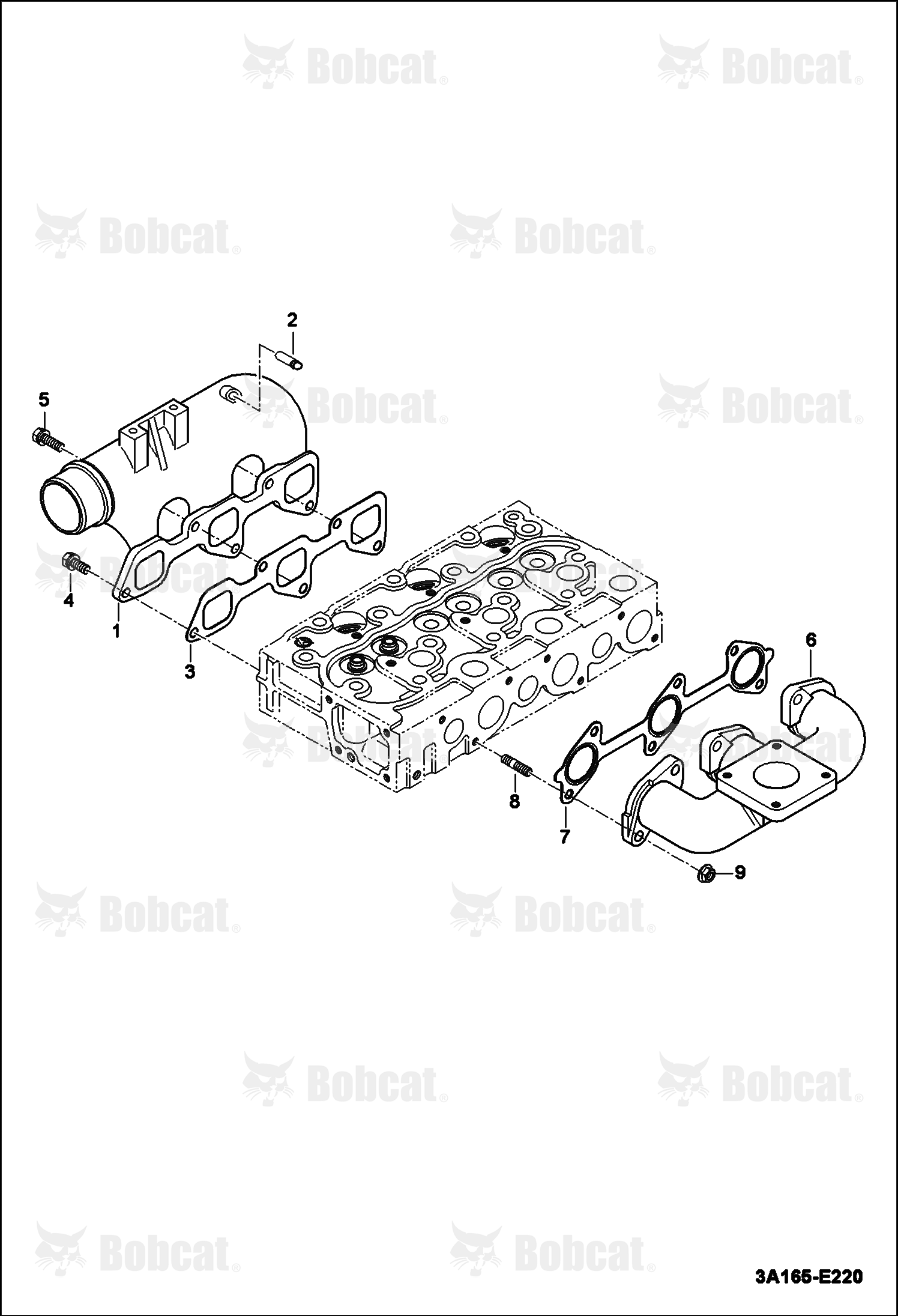 Manifold Group