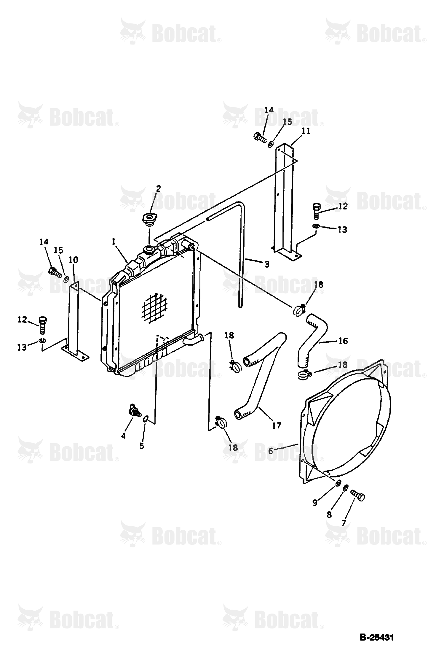 Radiator and Piping