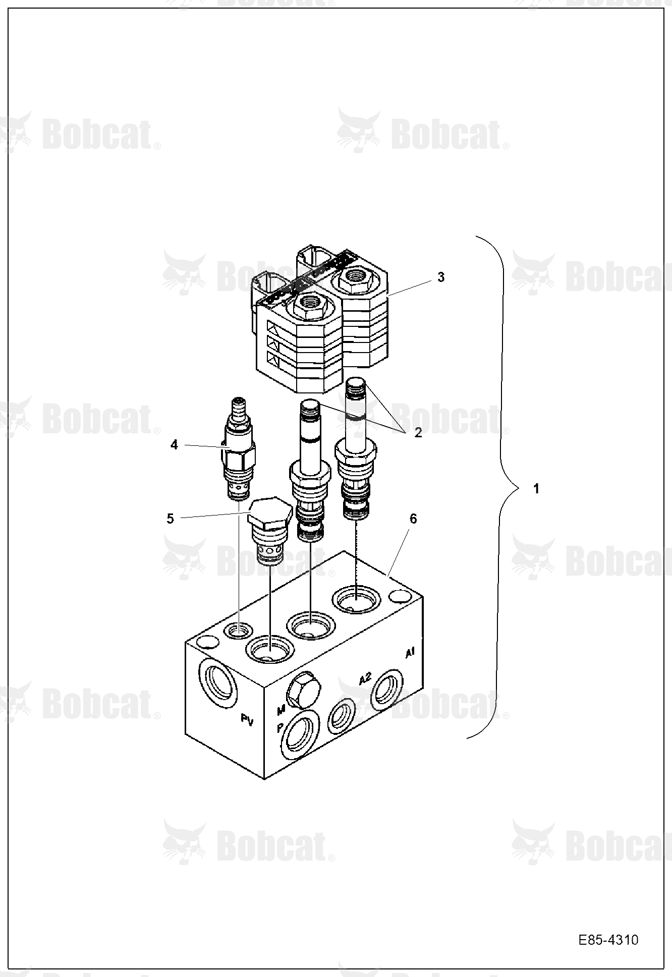 Manifold Valve