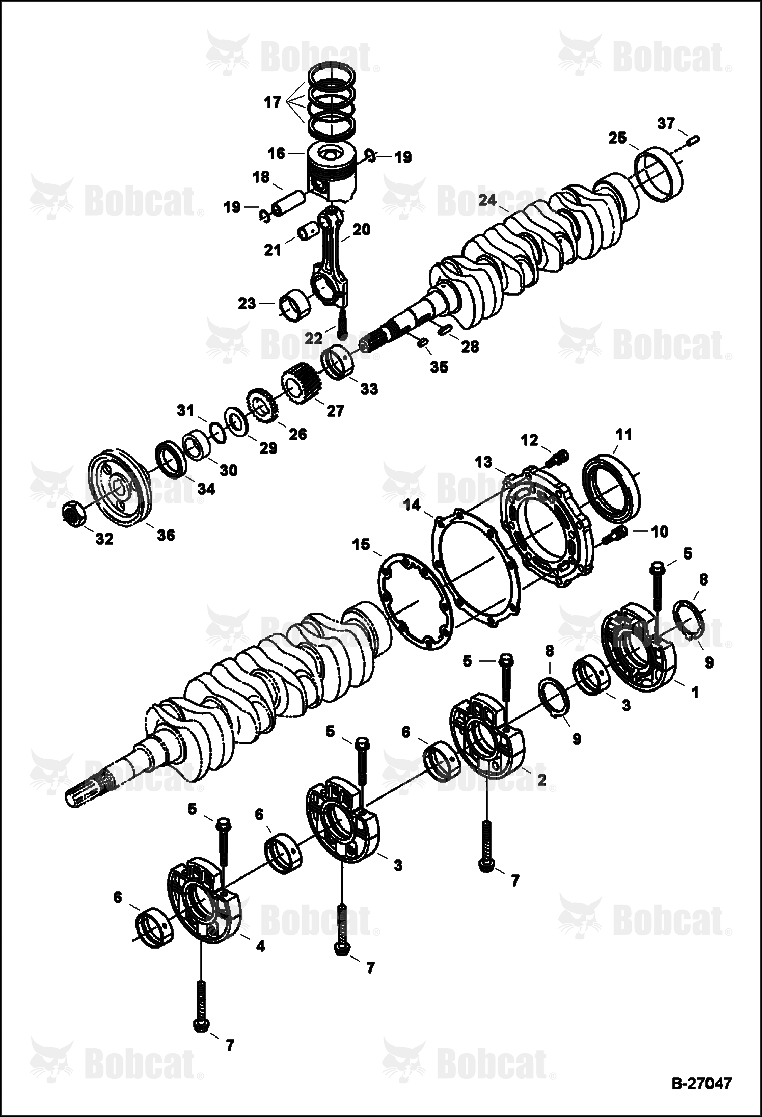Piston and Crankshaft