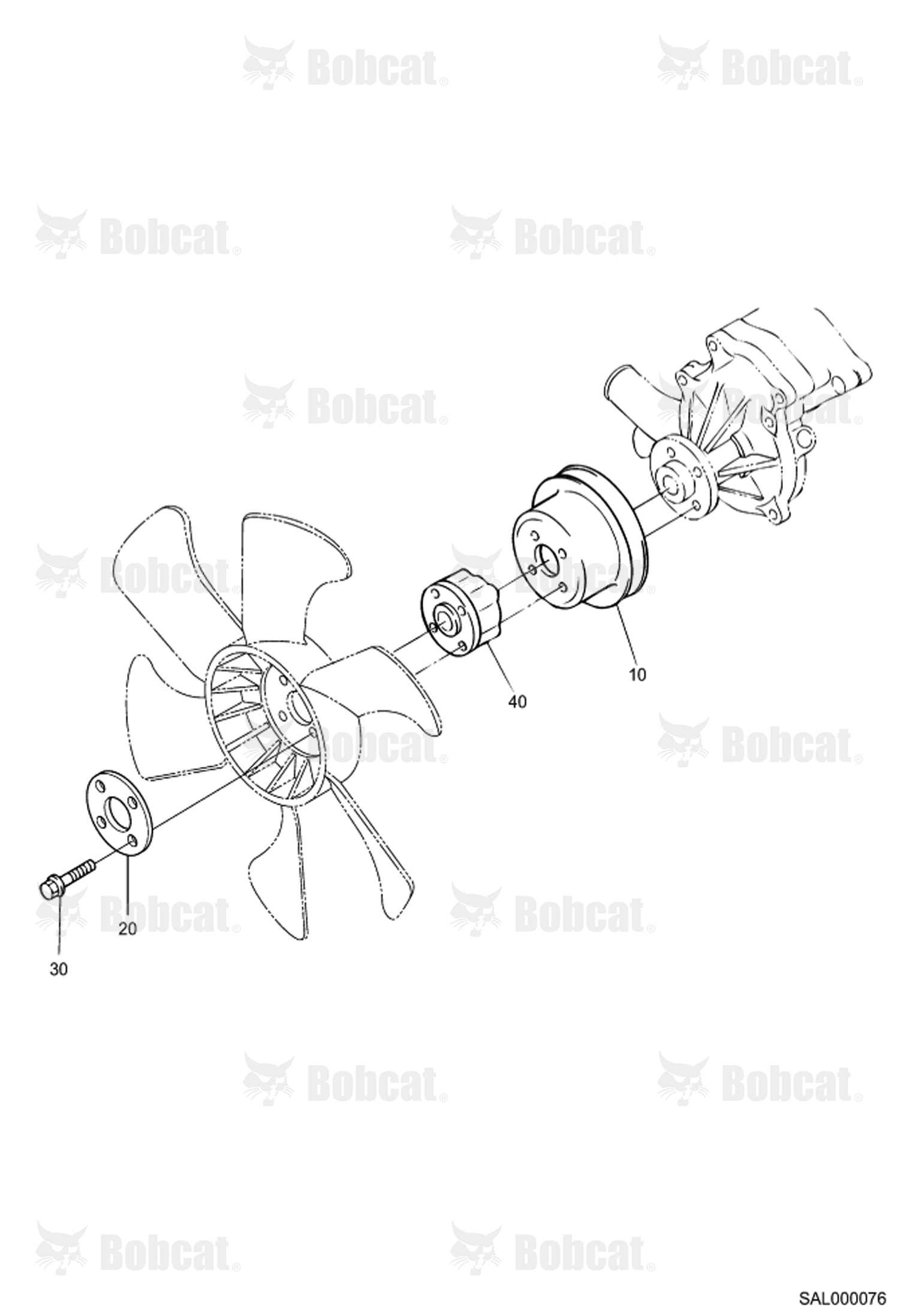 Fan