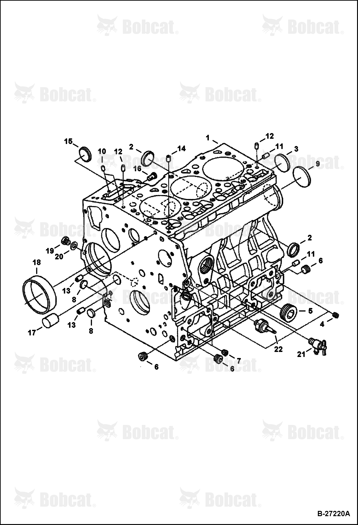 Crankcase (Kubota D1005 Tier II)  538911001 & Above, 539011001 & Above