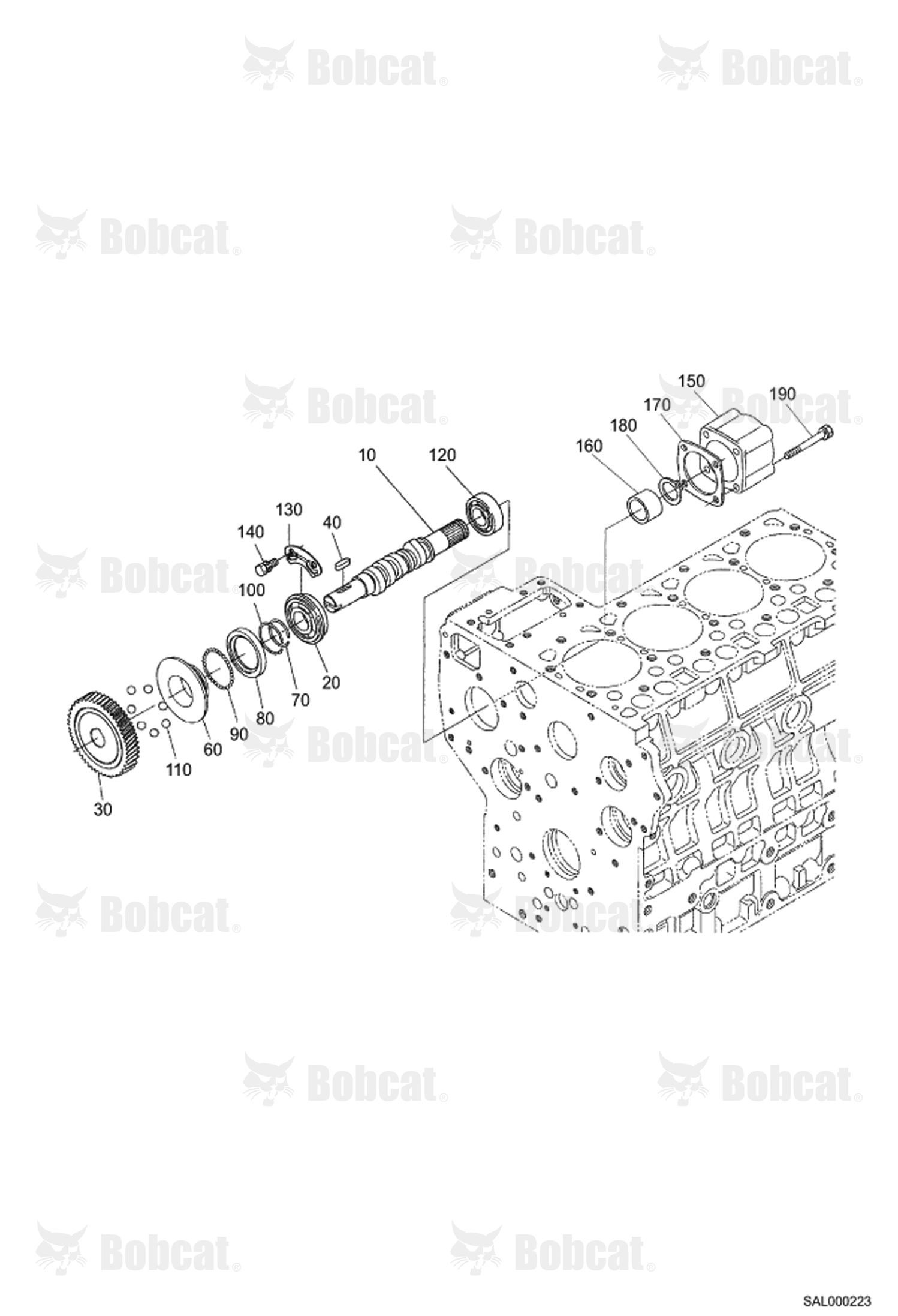 Fuel Camshaft and Governor Shaft