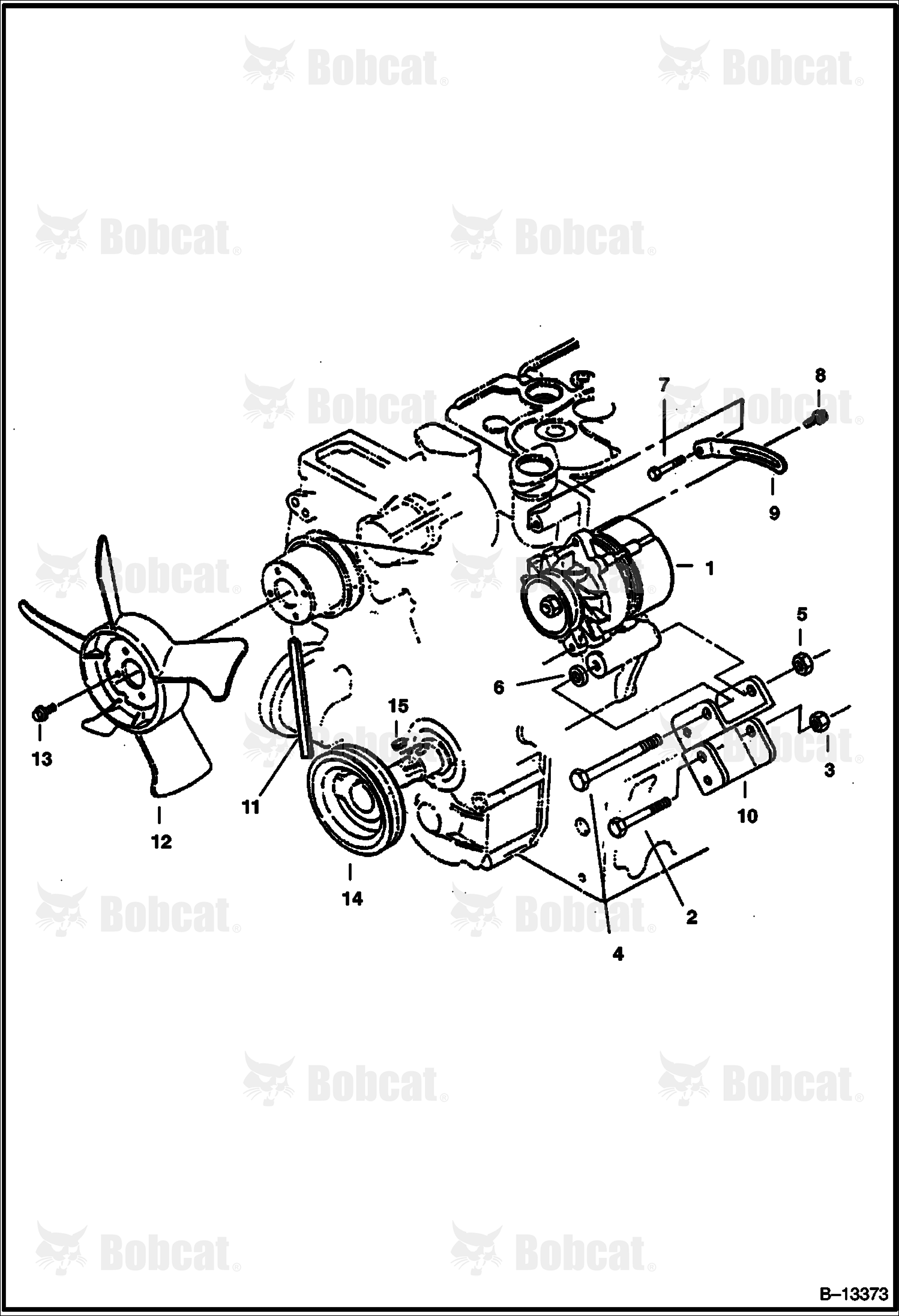 Fan & Alternator