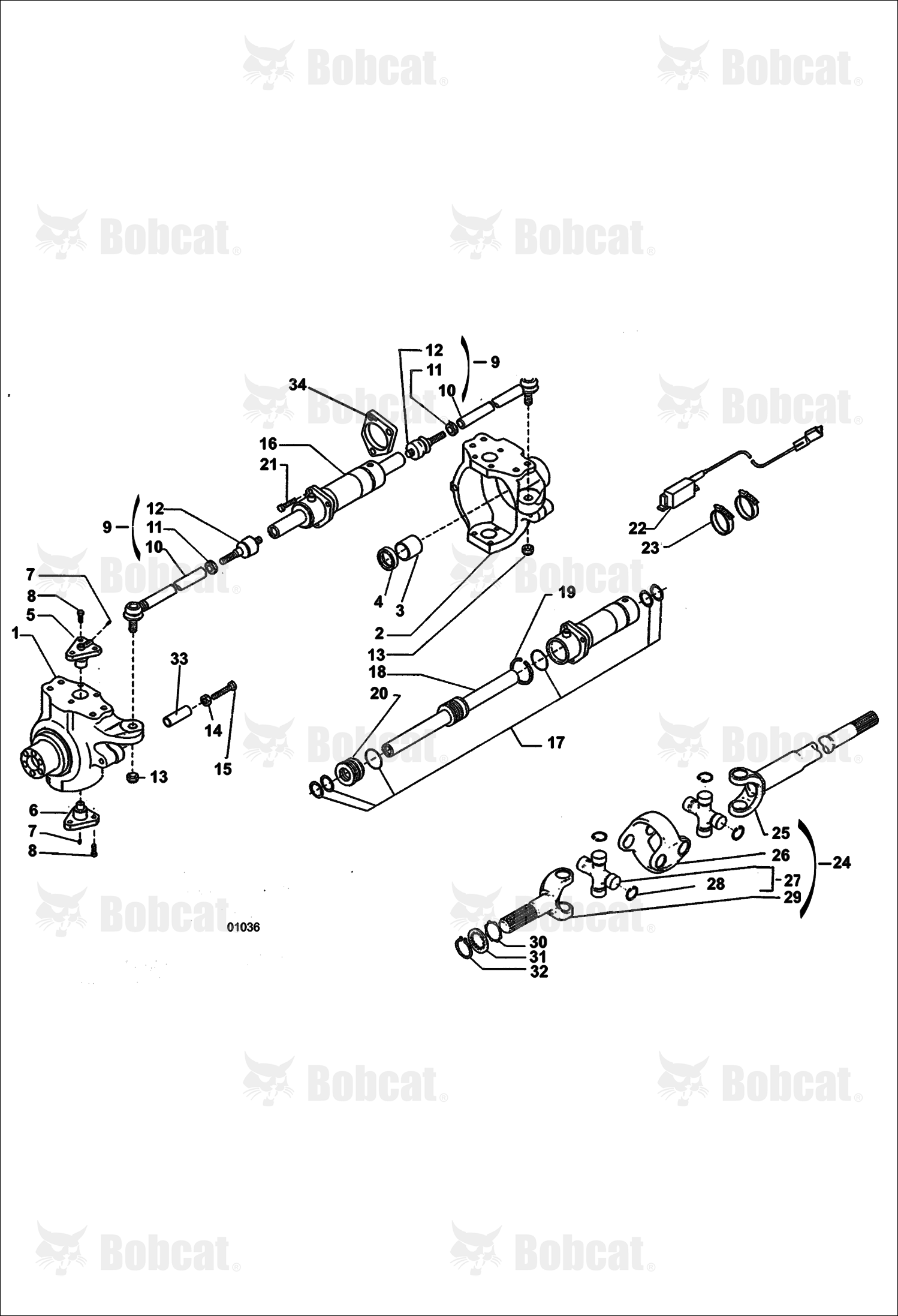 Rear Axle - Pivots & Cylinder