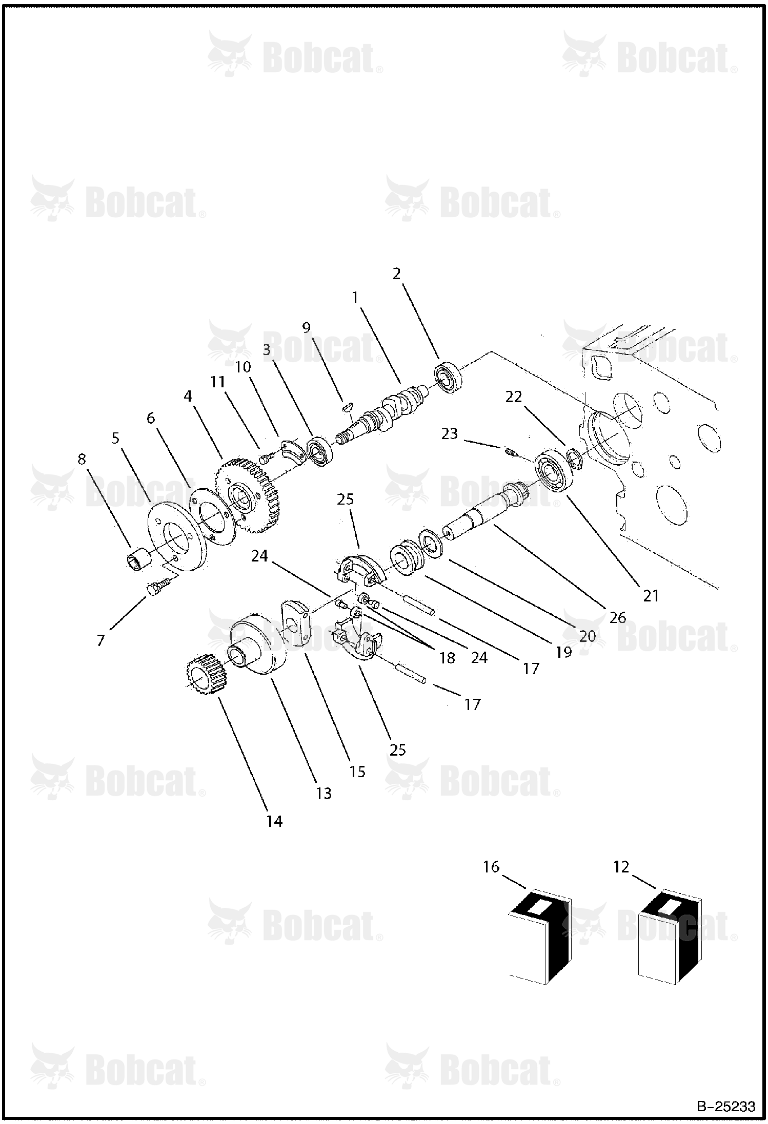 Fuel Camshaft & Governor Shaft (Tier II) 573011001 & Above