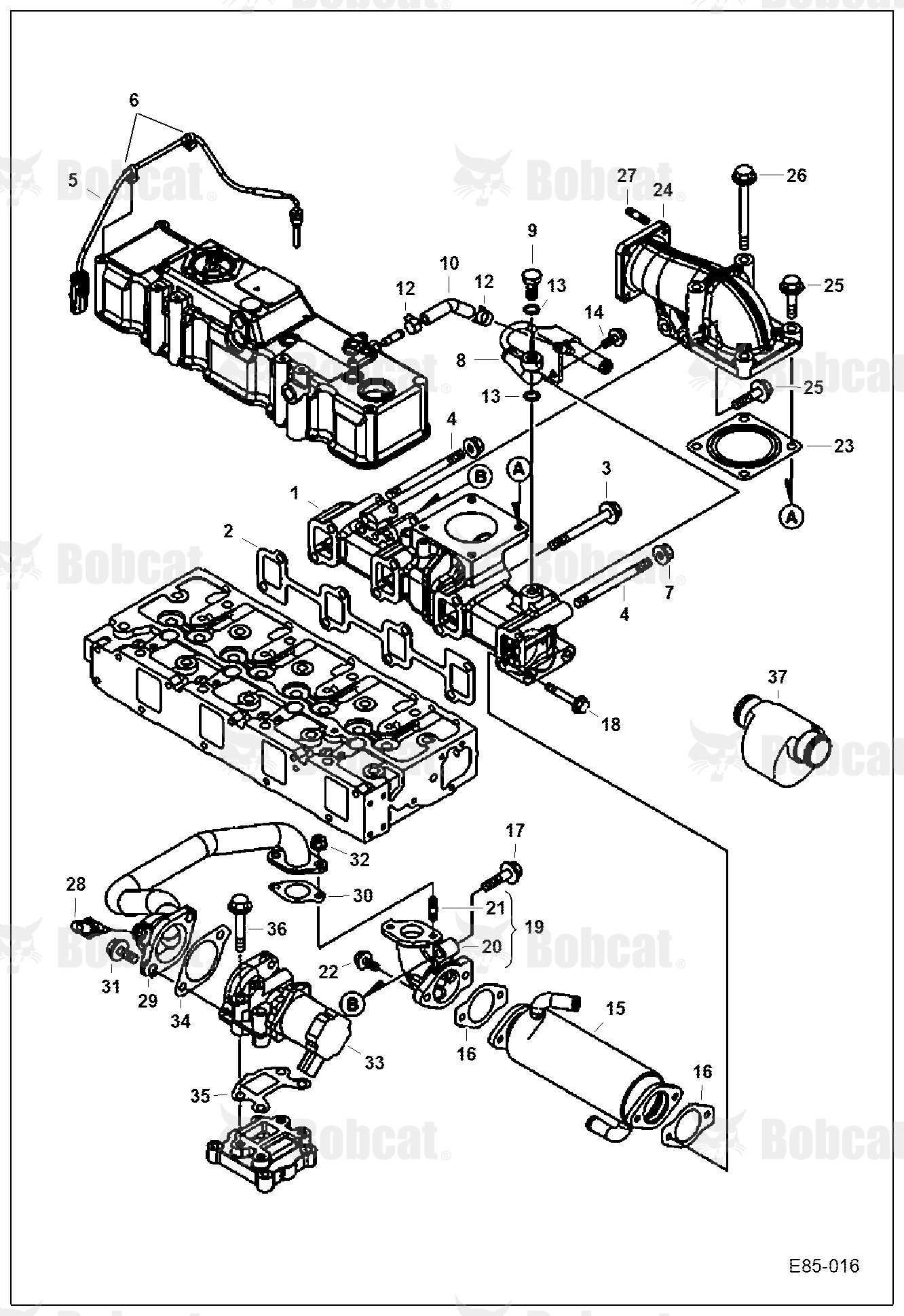 Exhaust Manifold