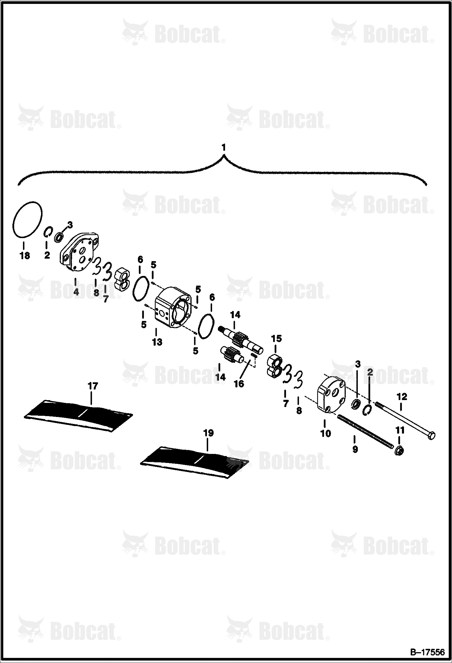 Gear Pump