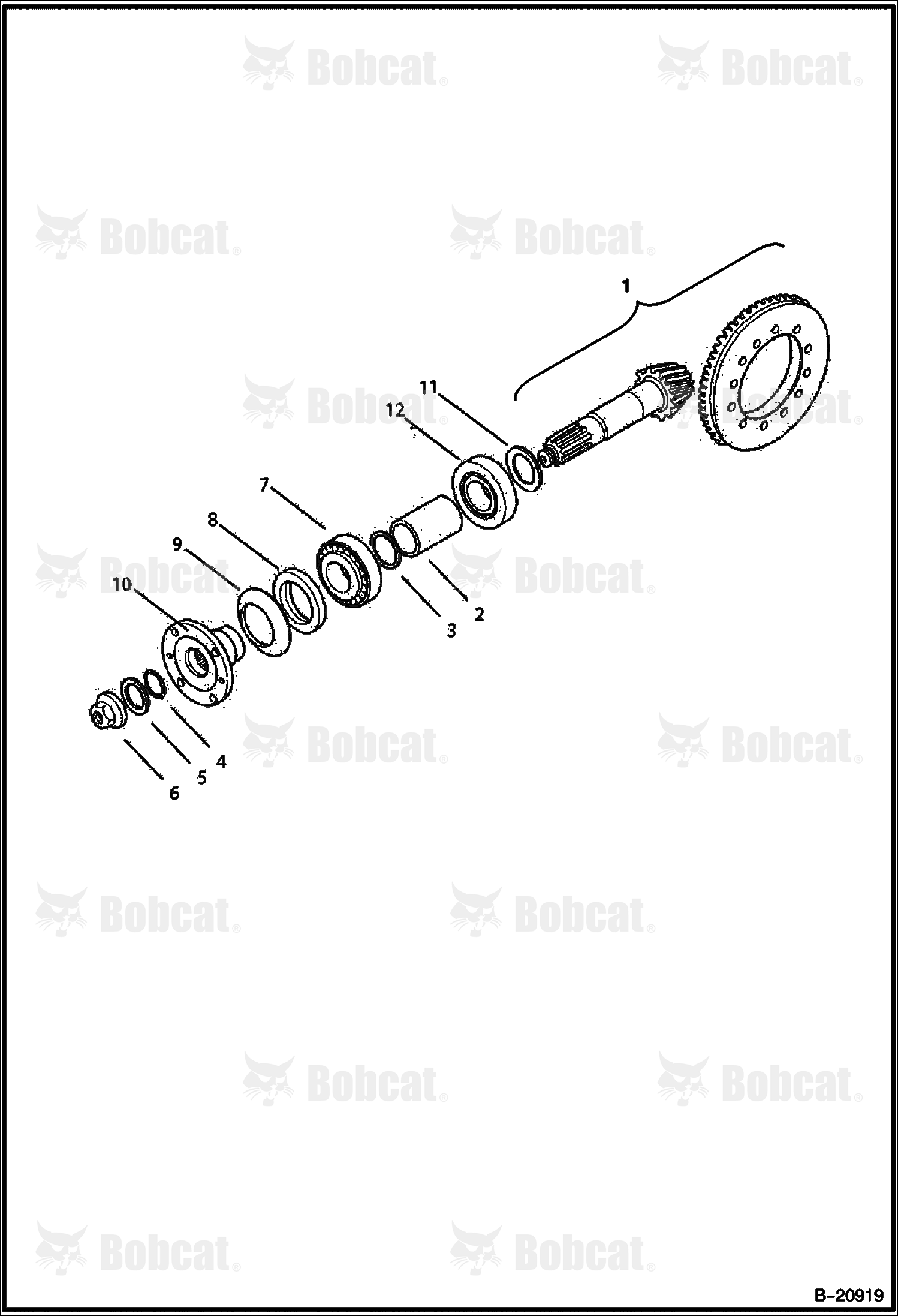 Rear Axle (Pinion)